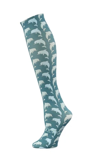 Dolphin.png