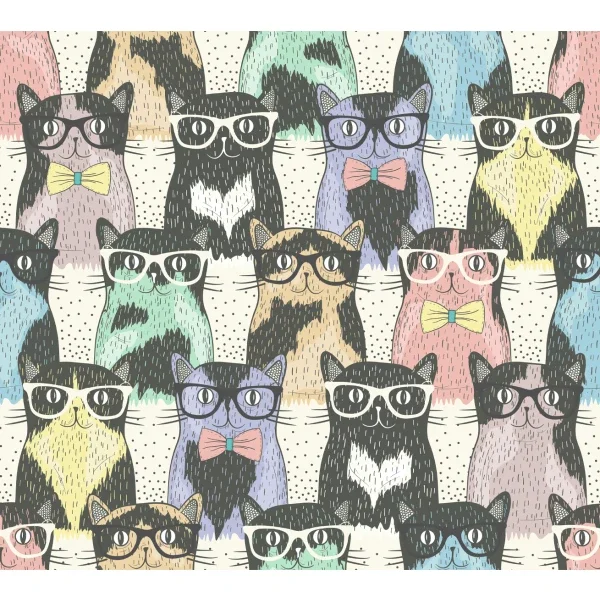 Hipster_Cats_B2B_1706898406.webp (Copy)