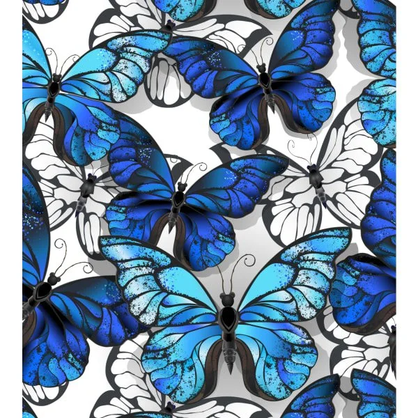 butterflies_copy_1612449072_1758123068.jpg (Copy)
