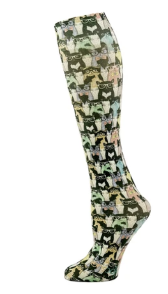 Cat.png