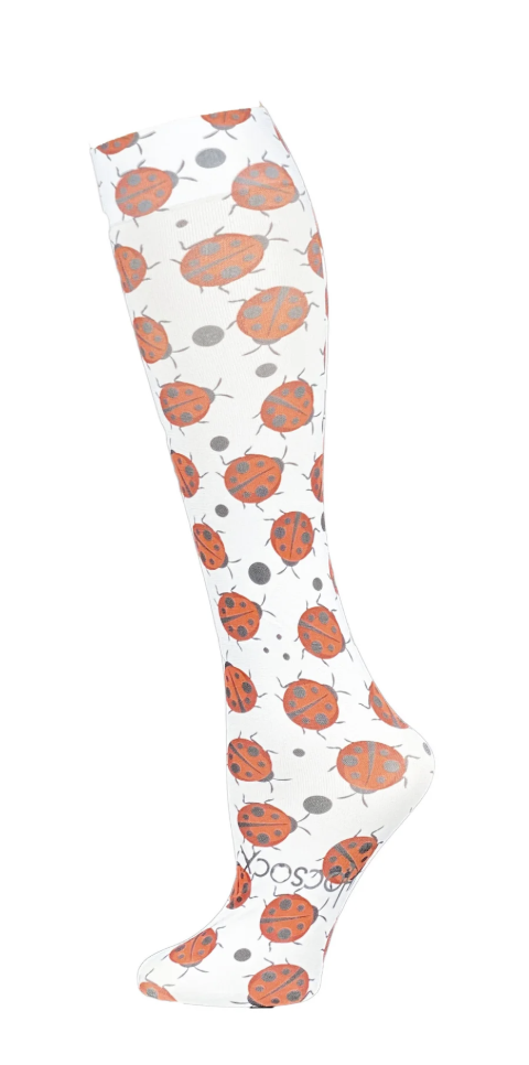 Lady Bugs.png