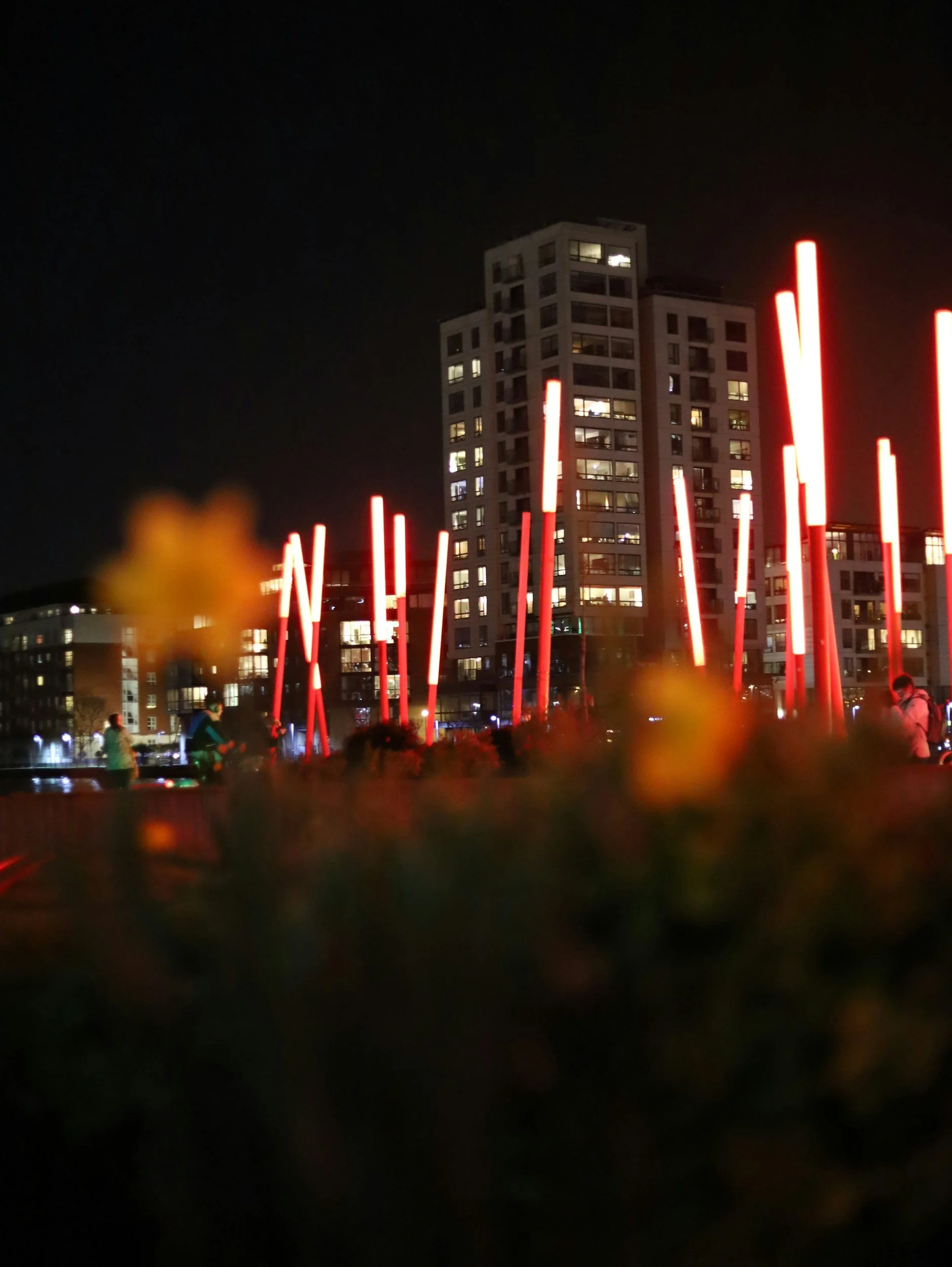 The Neon Hangover: Dublin’s Digital Glow at the Edge of the Crash