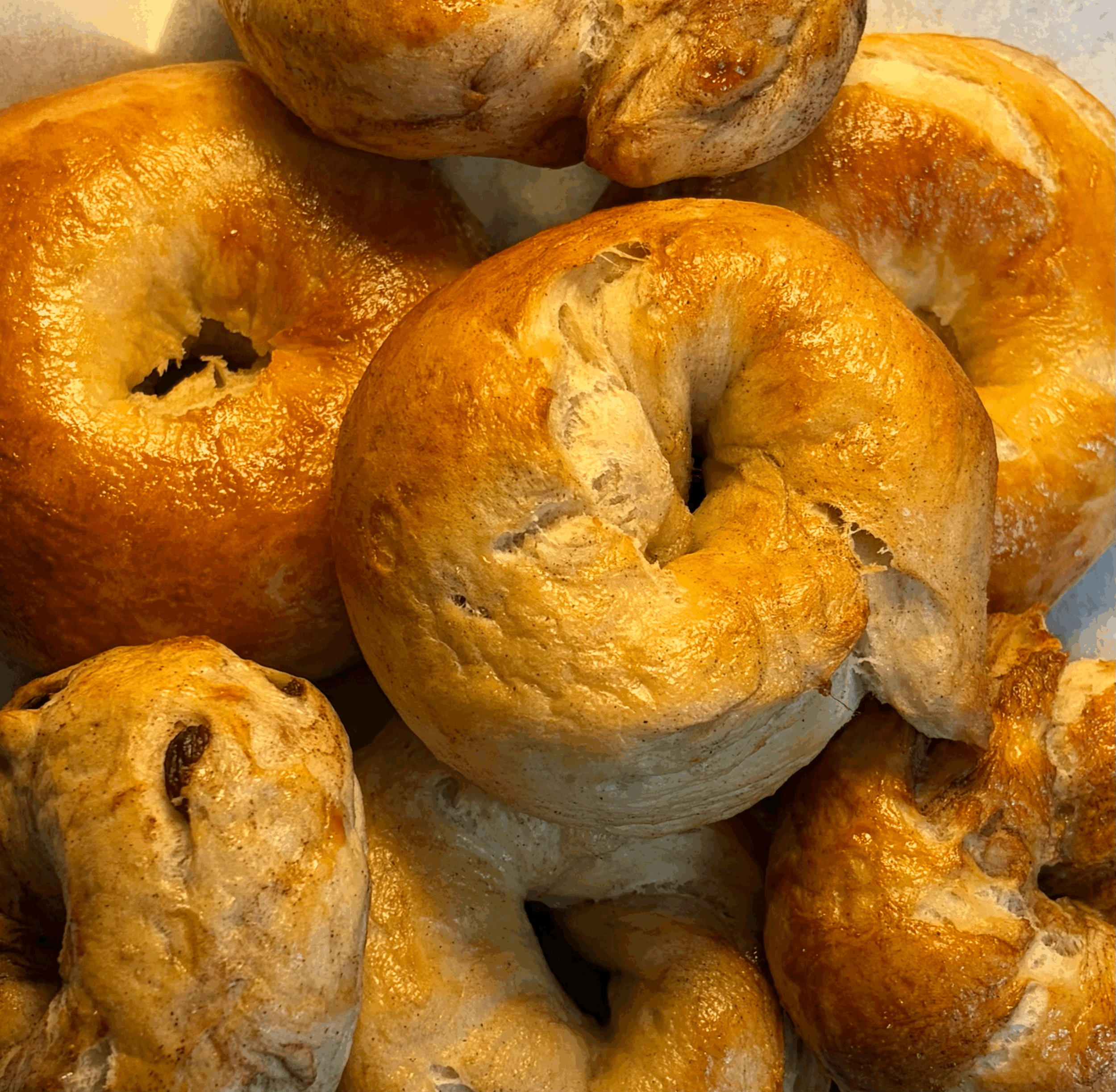 NYC-Bagels Box of 4