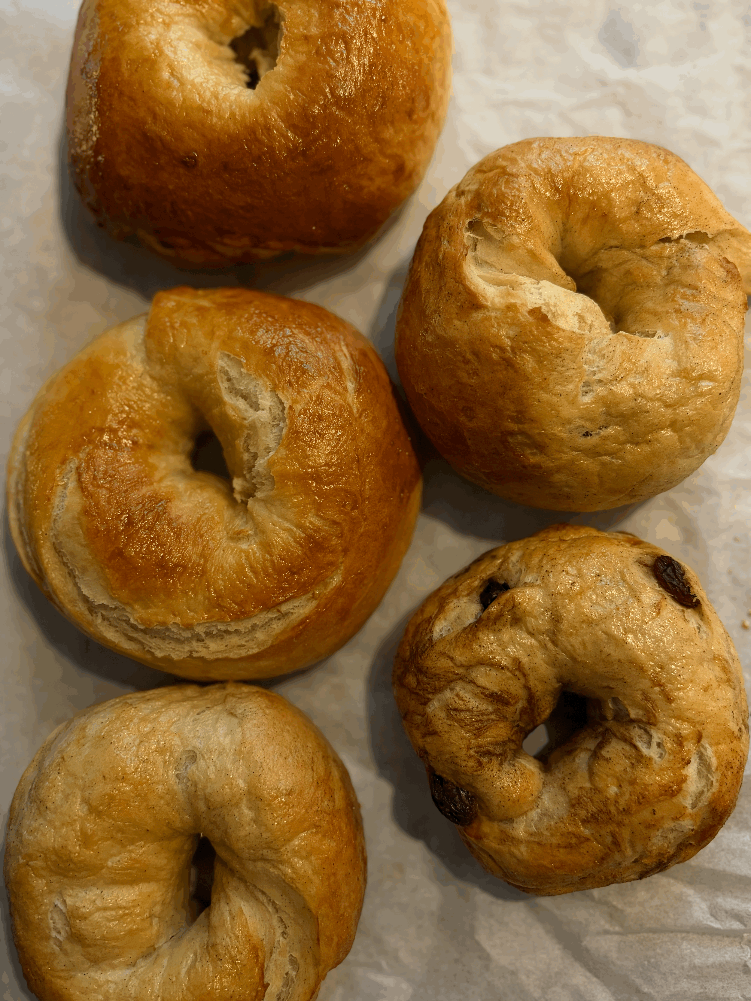 NYC-Bagels box of 6