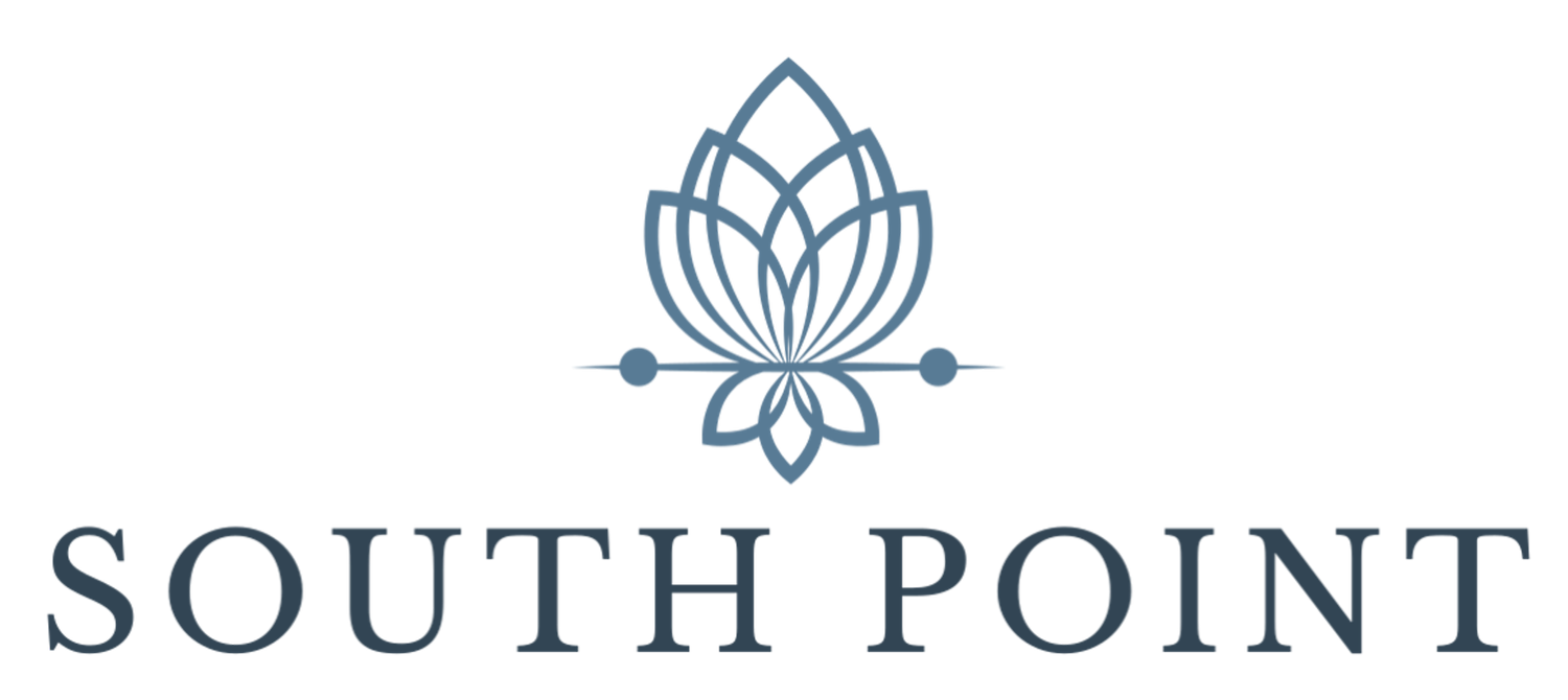 South Point Capital