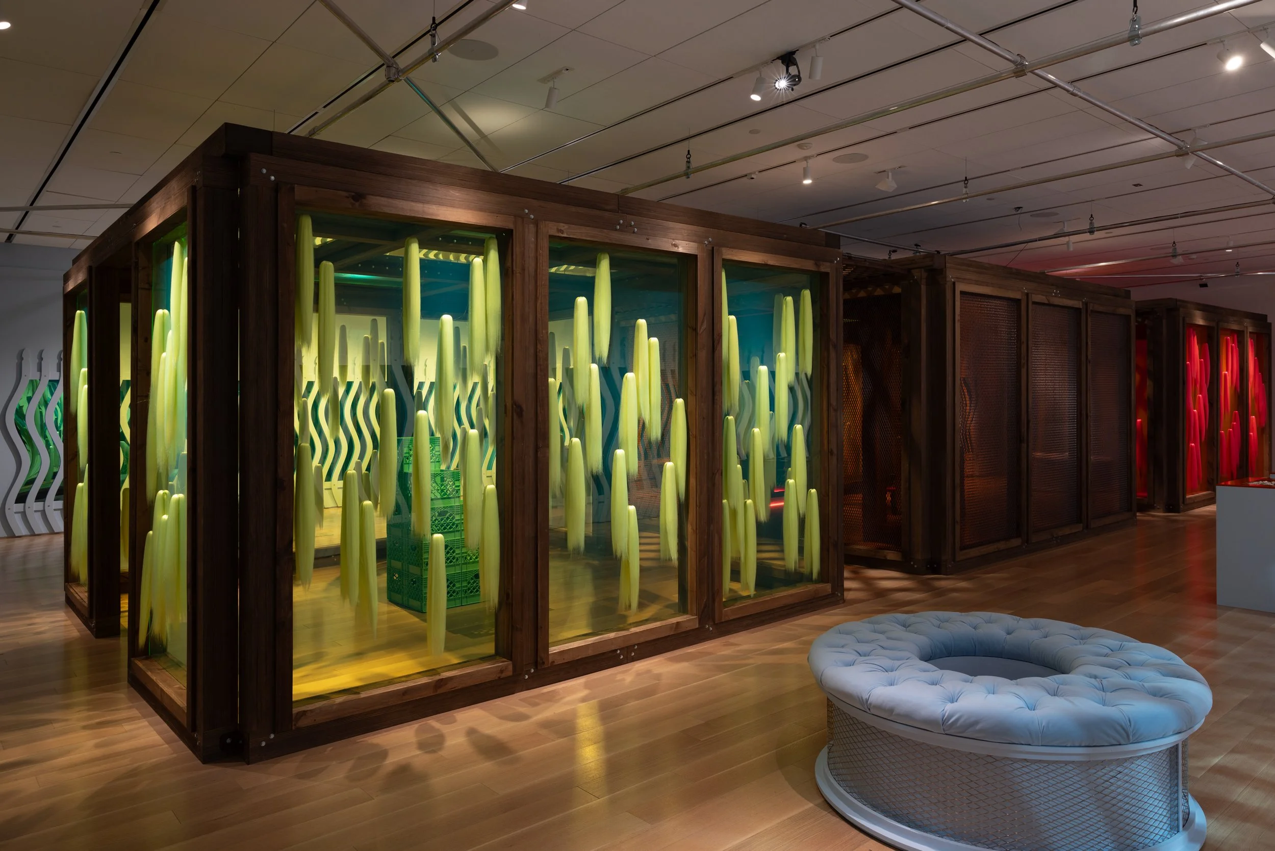 WHEN IT RAINS IT SHINES