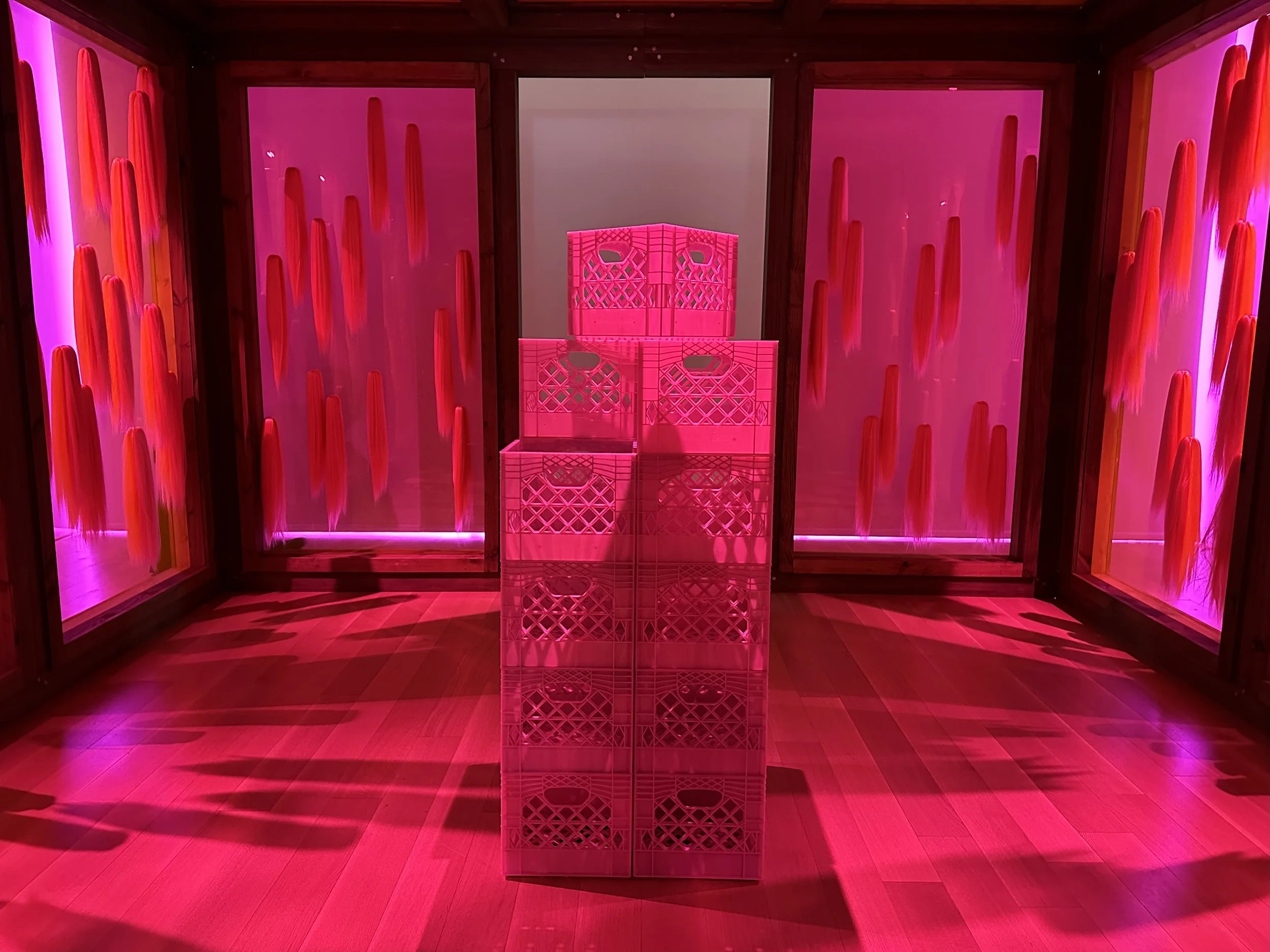 C642D569-F65B-4676-89BC-956CE006E2DD Maria White.jpeg