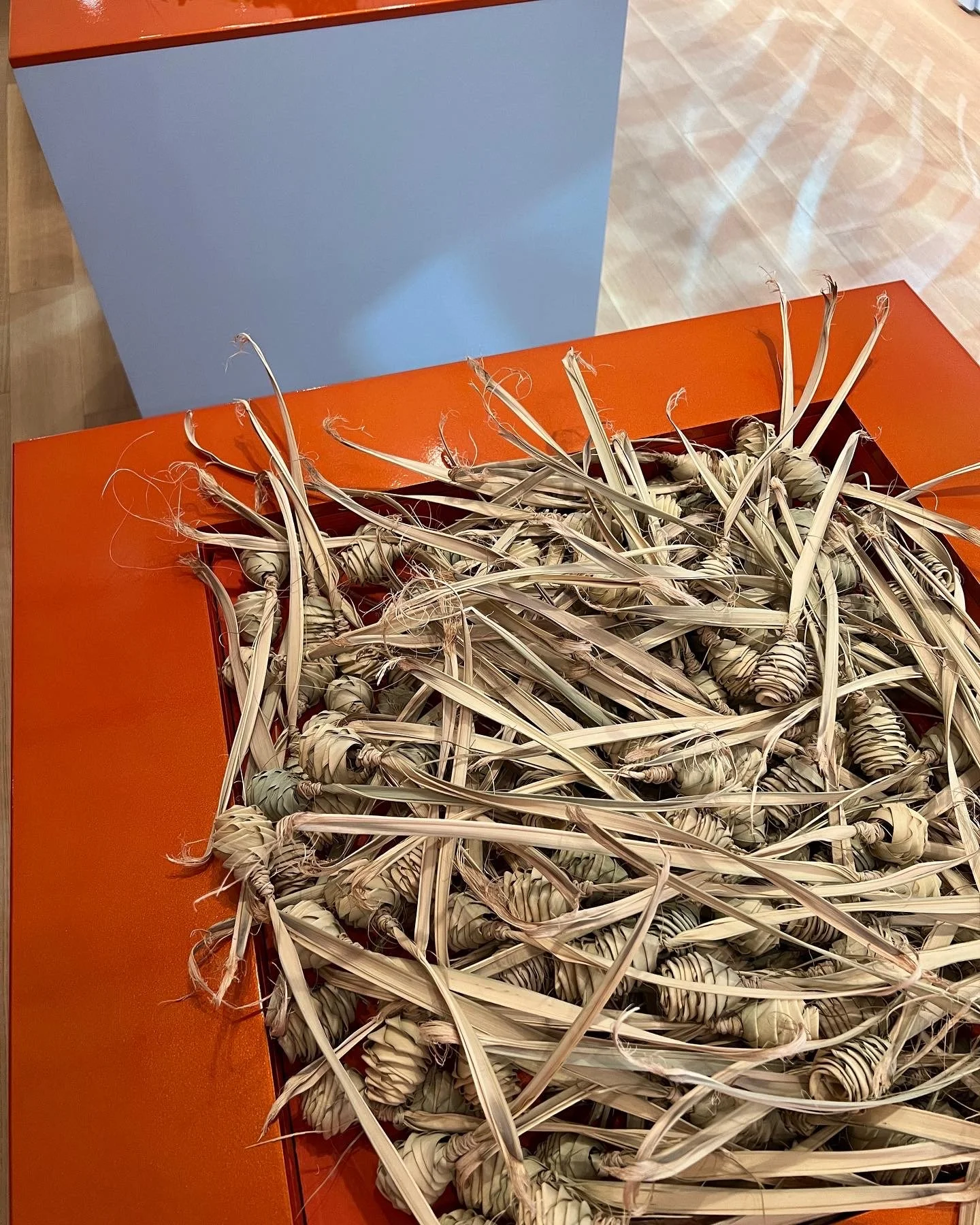 D30AD33E-82D3-4F0F-8808-6DB94836EE0E D. White.jpeg