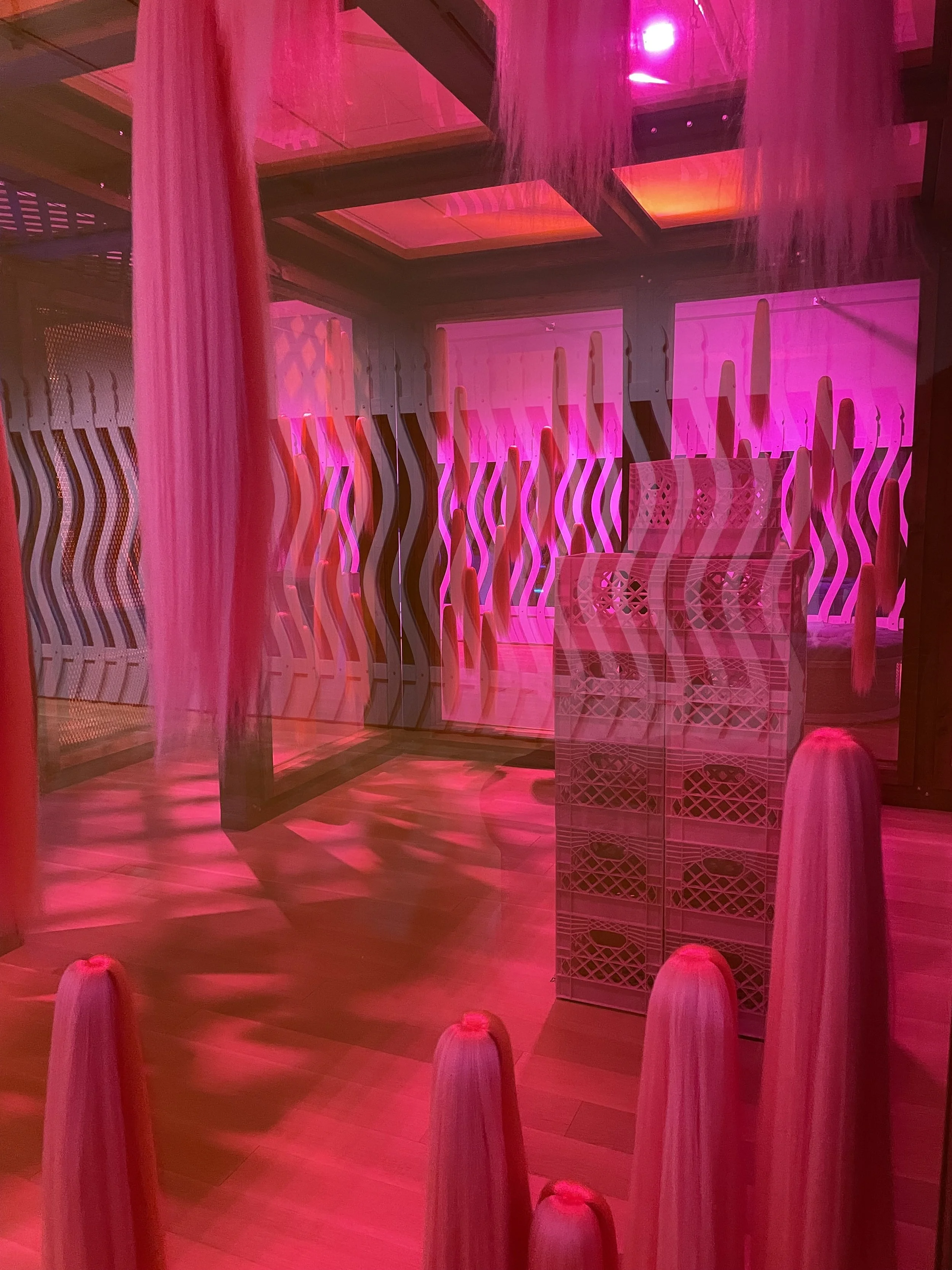 IMG_0625 Cara Alford.jpeg