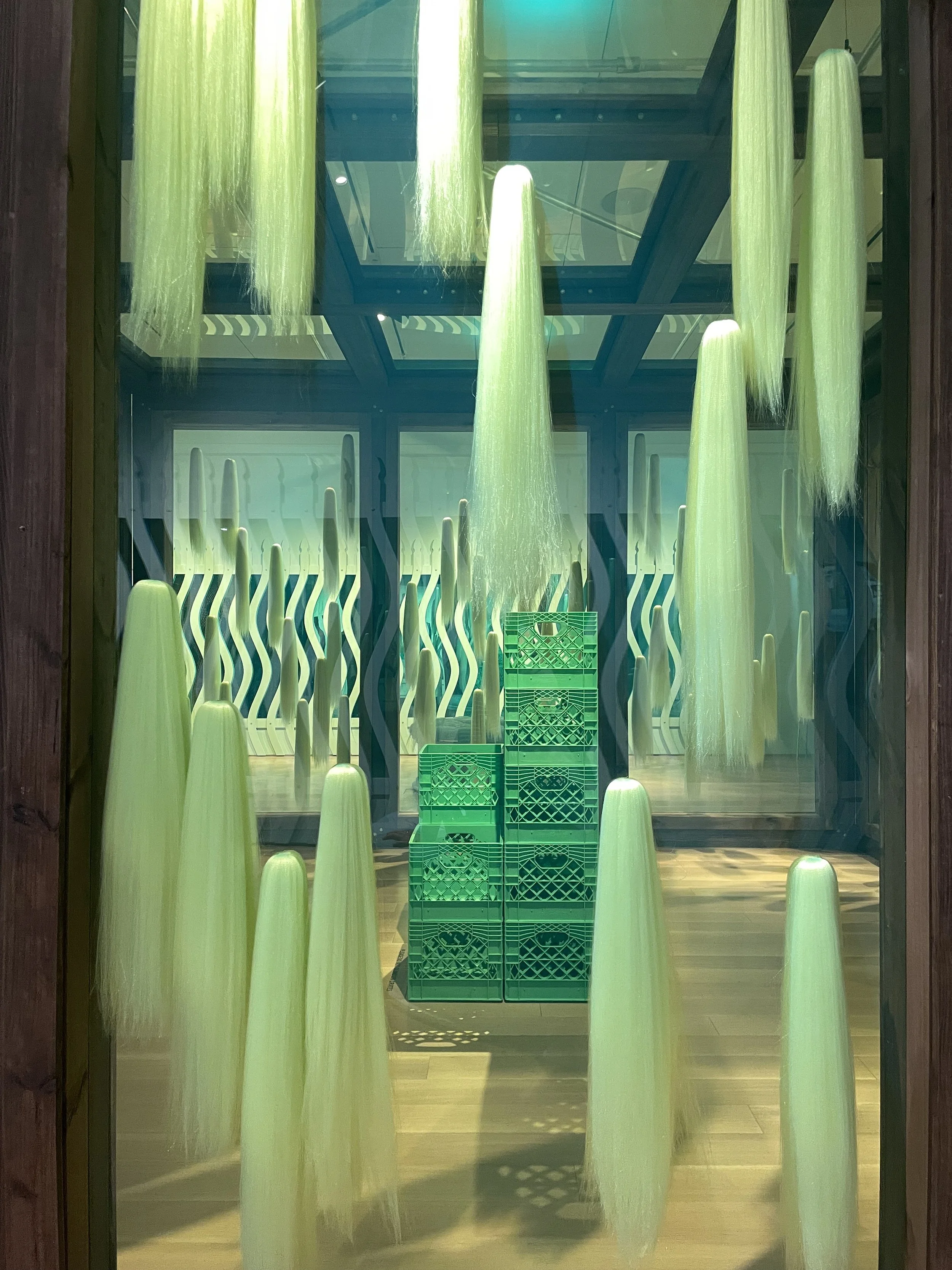 IMG_0631 Cara Alford.jpeg