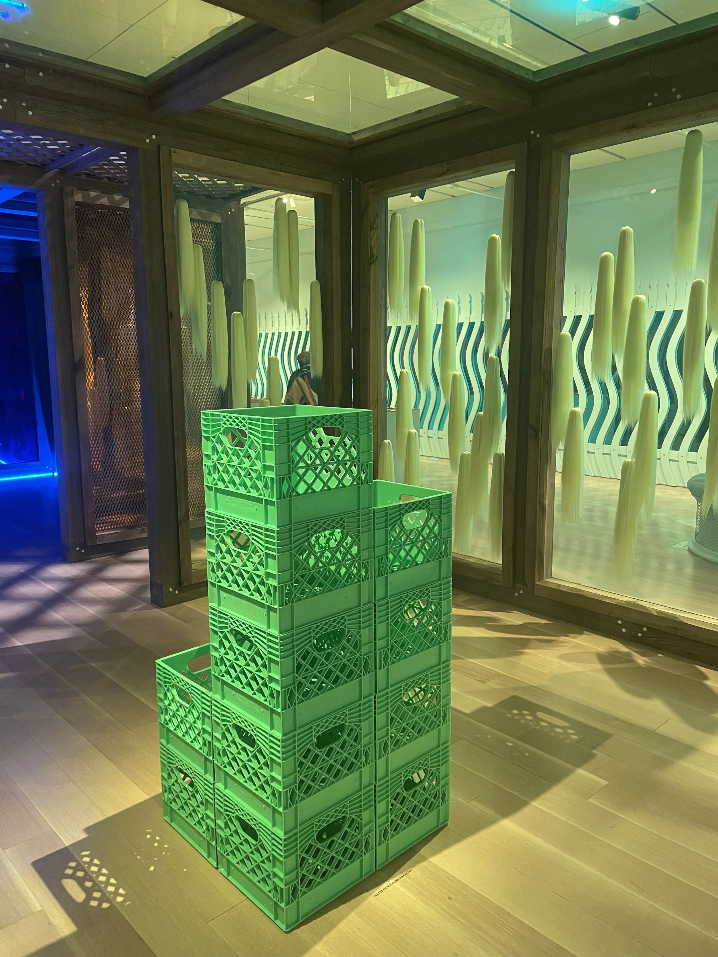 IMG_1666 Caroline Brown.jpeg