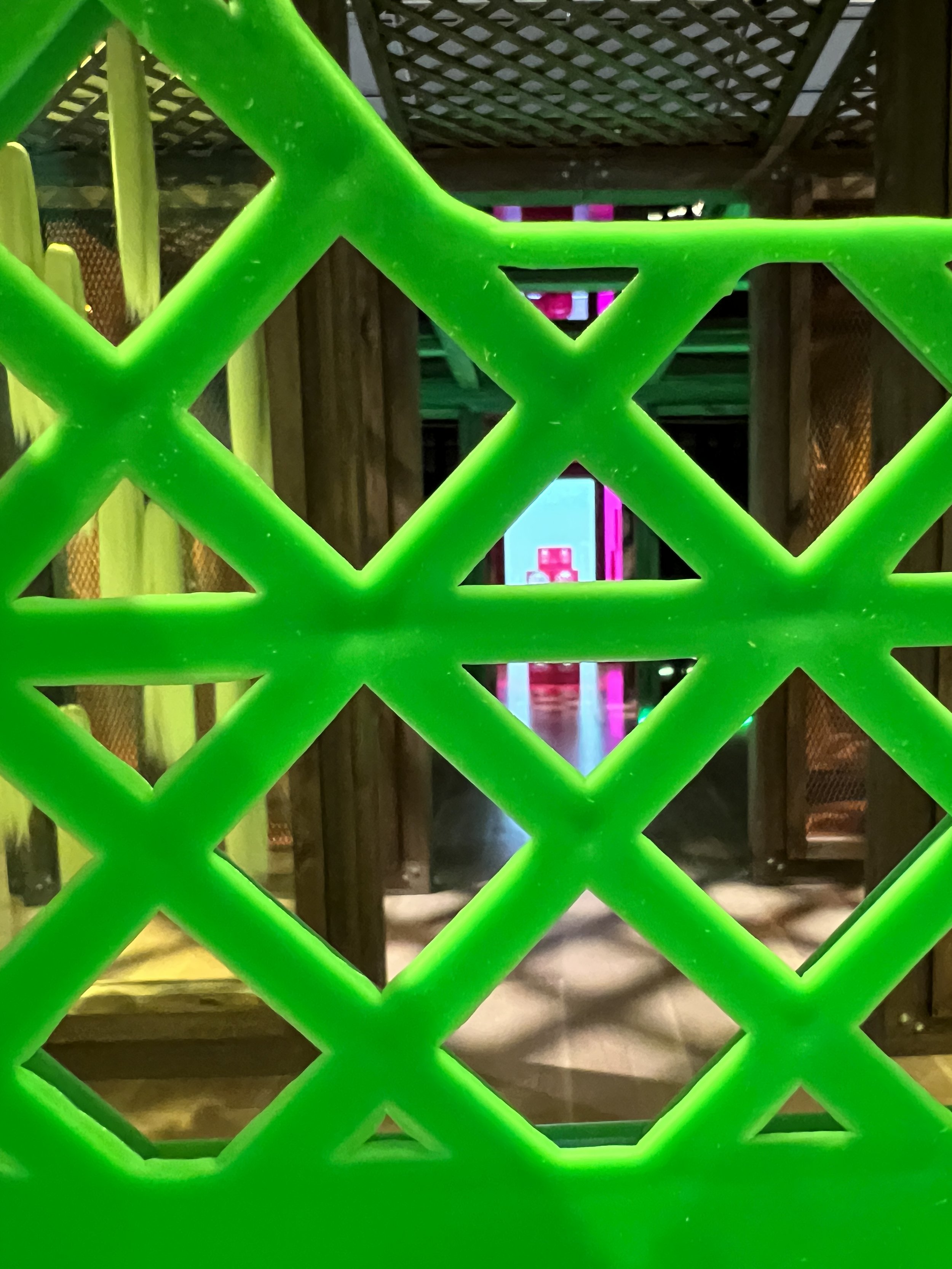 IMG_1699 D. White.jpeg