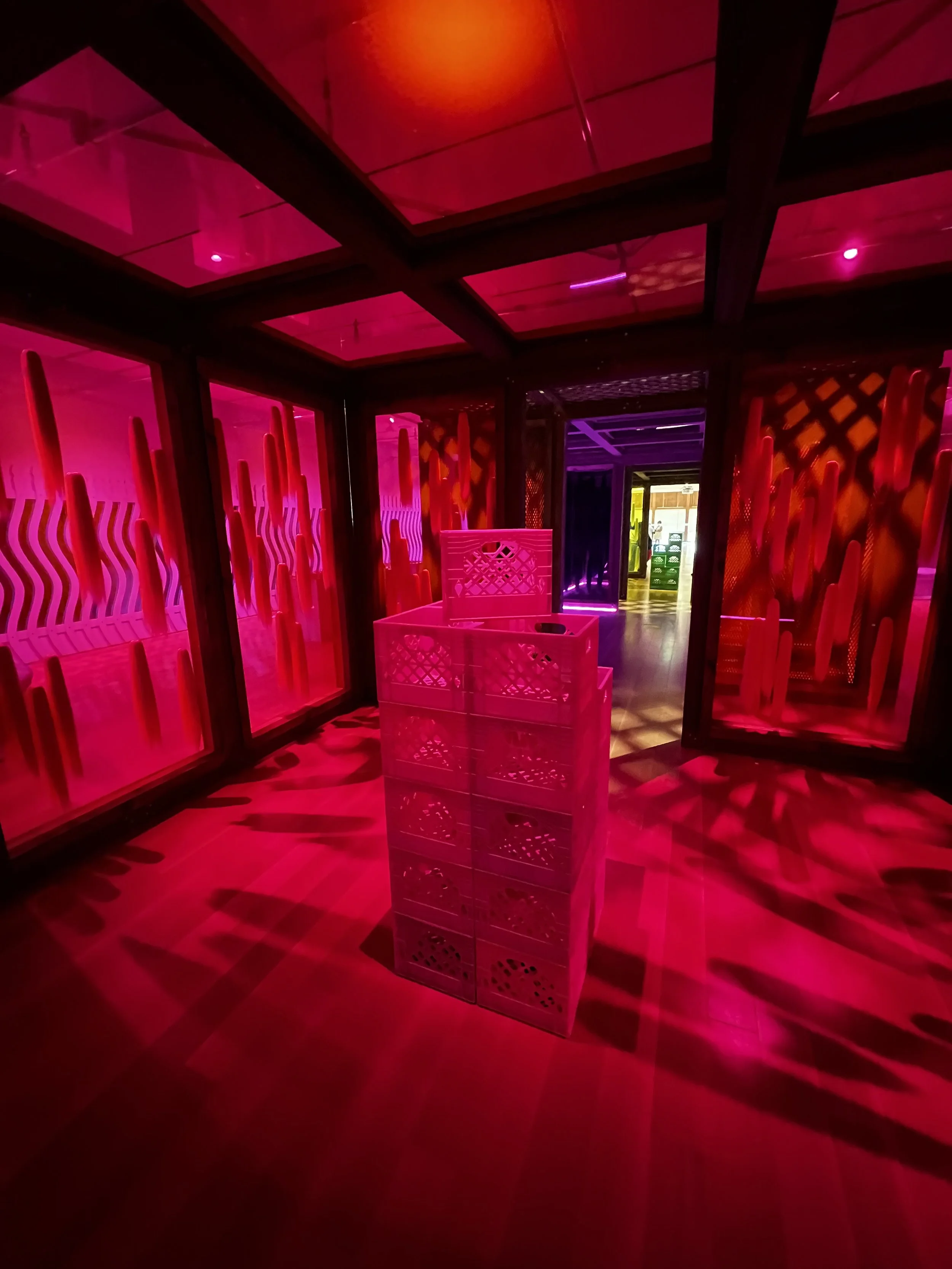 IMG_2363 Steph Frx.jpeg