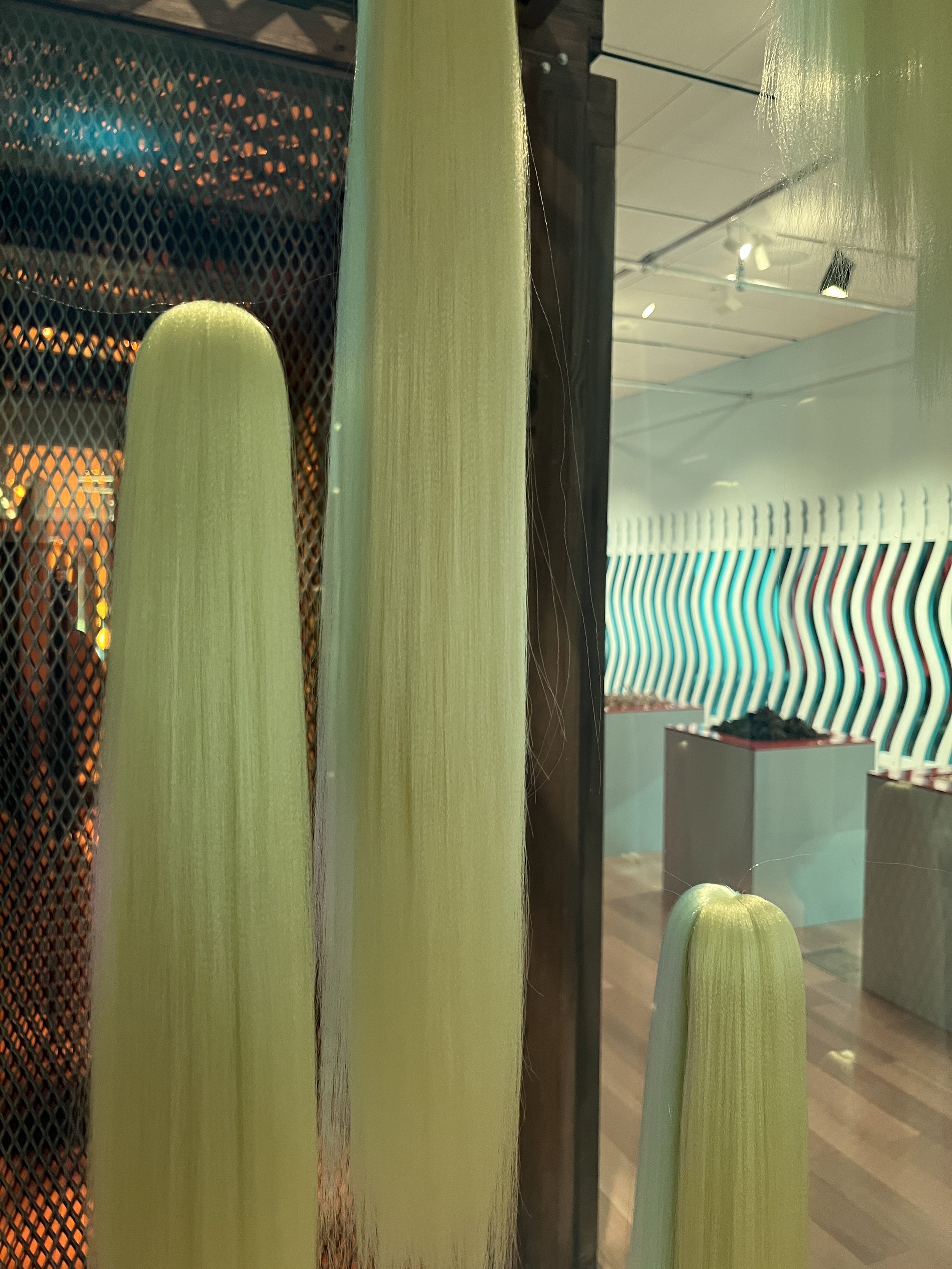 IMG_1700 D. White.jpeg