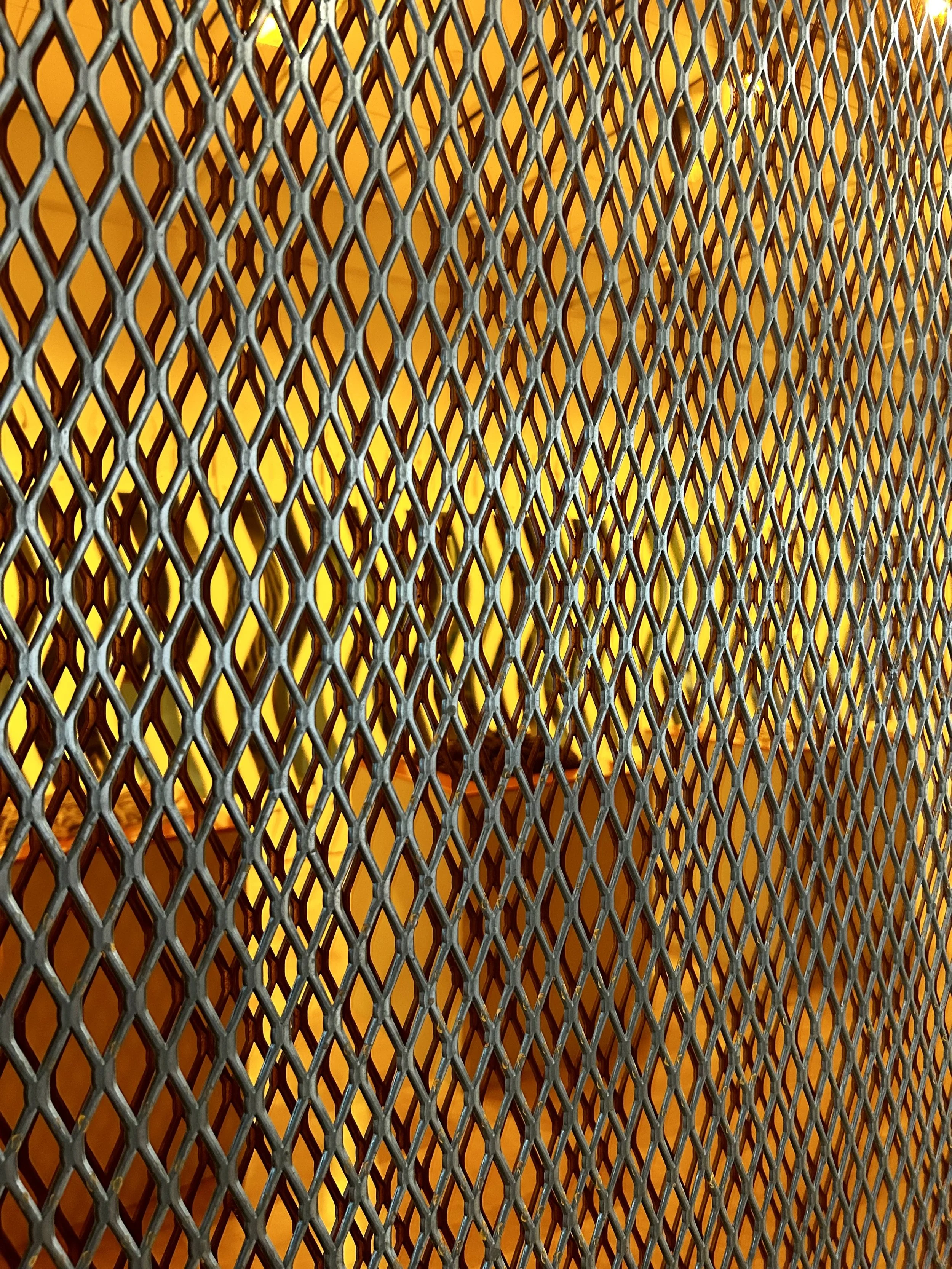 IMG_4473 Erin Glaze.jpeg