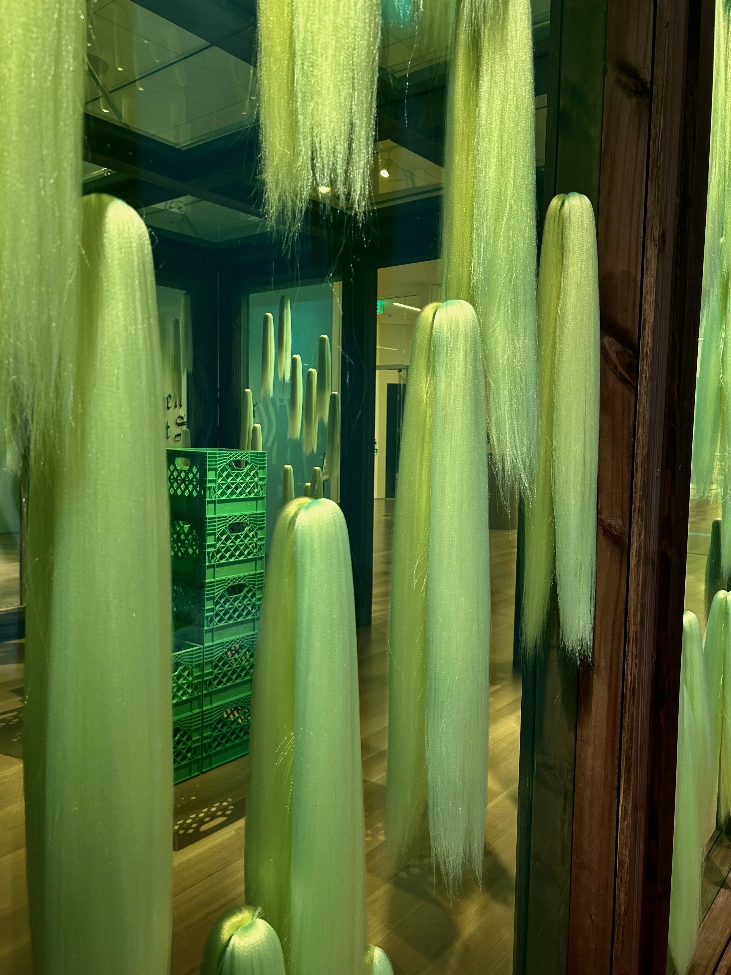 IMG_4478 Erin Glaze.jpeg