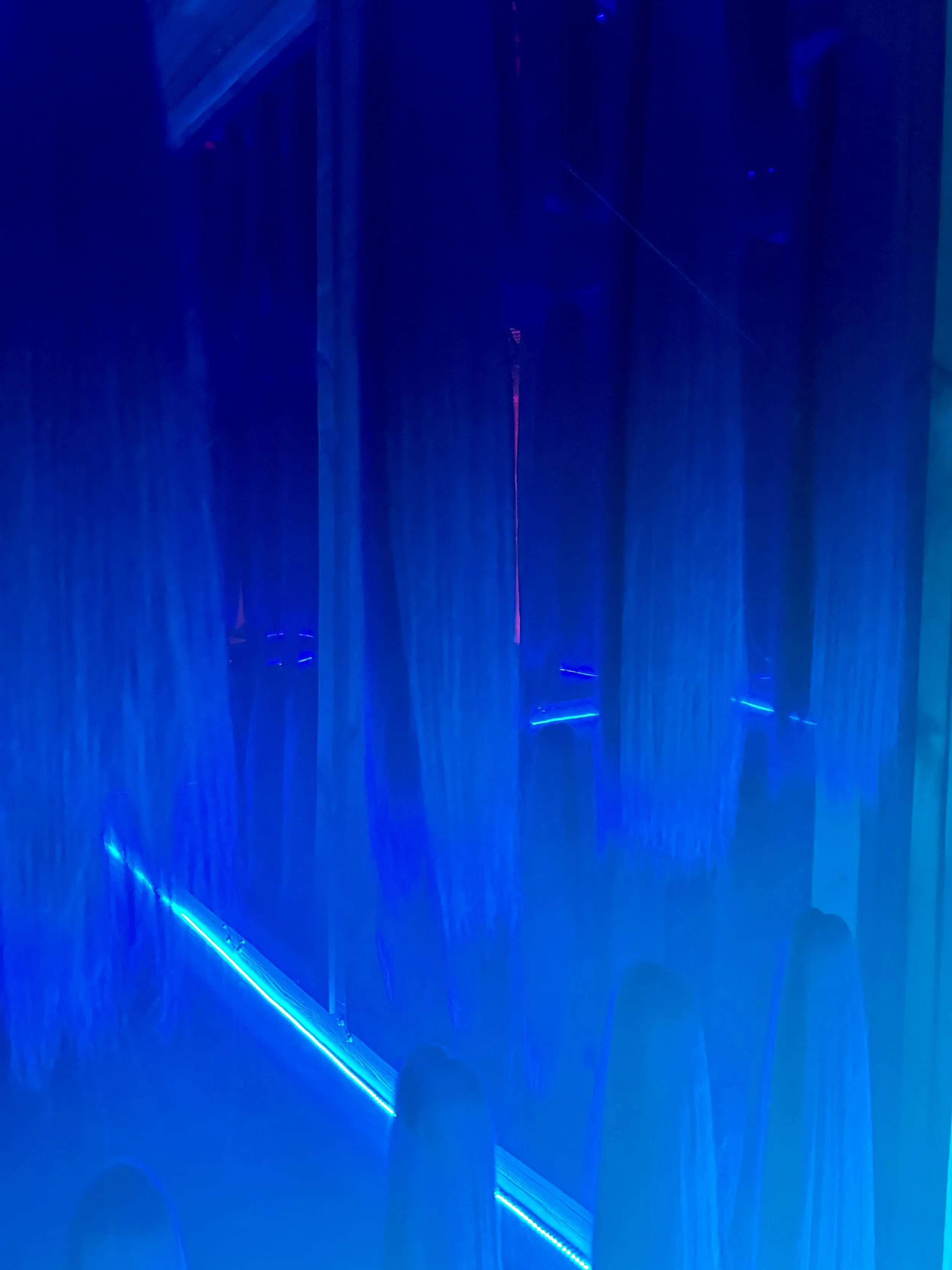 IMG_4479 Erin Glaze.jpeg