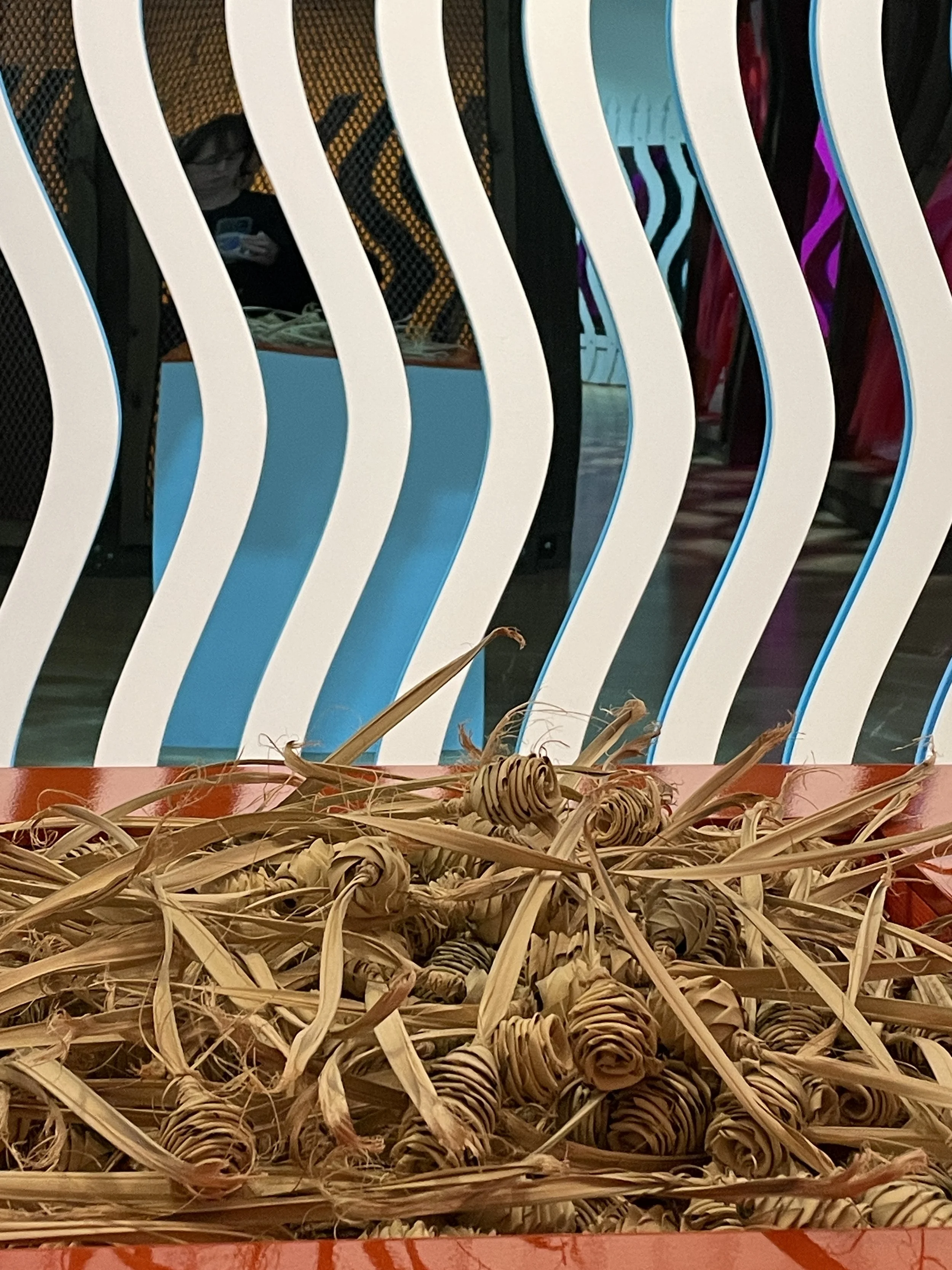 IMG_7780 Liv Antonecchia.jpeg