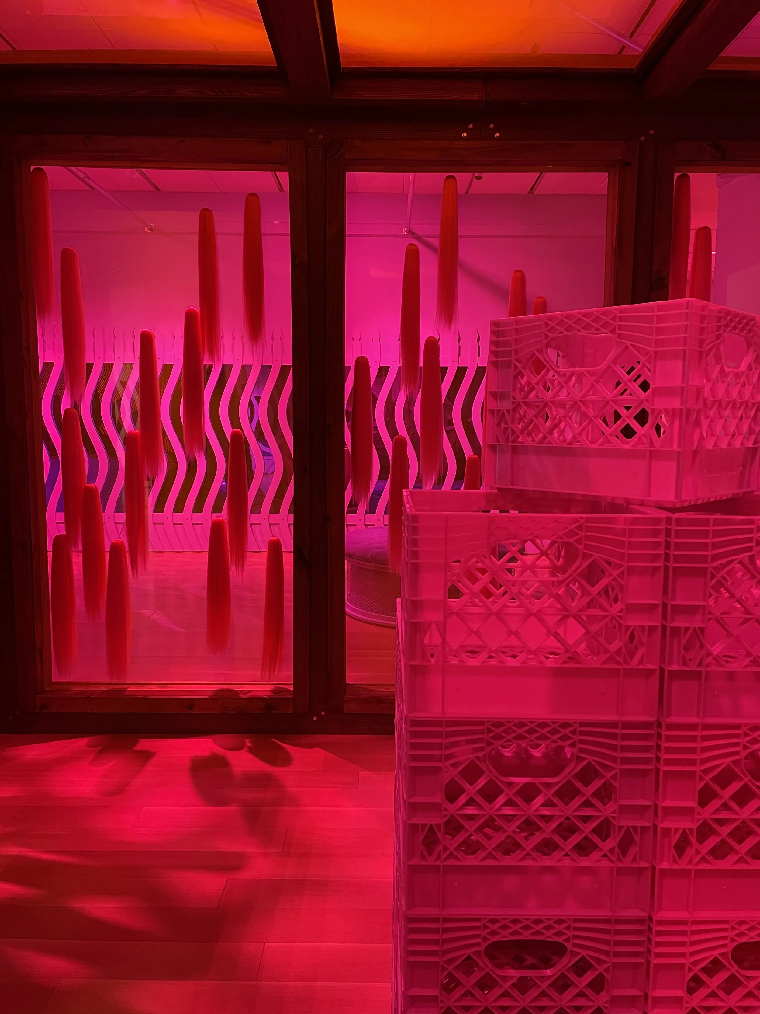 IMG_7781 Liv Antonecchia.jpeg