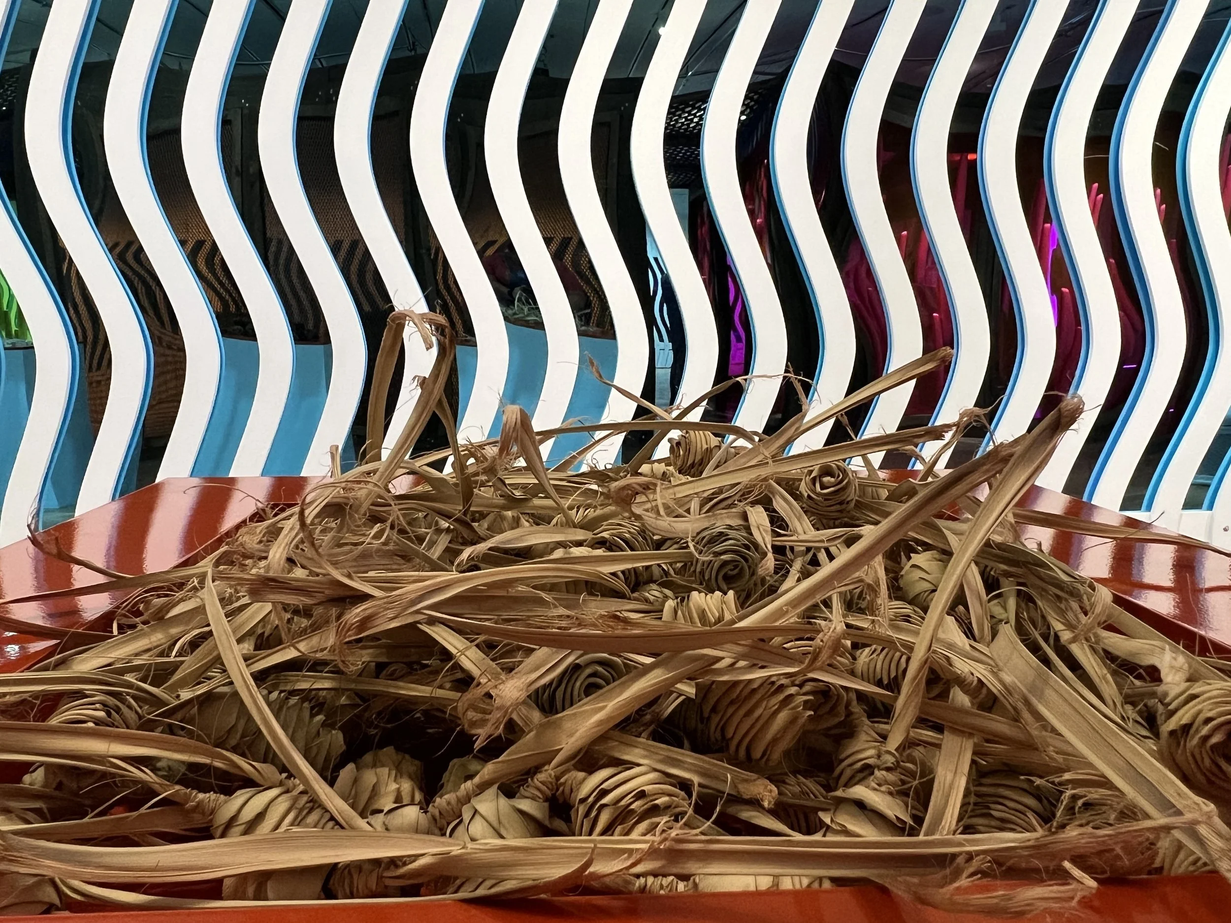 IMG_9244 Jessica Pennell.jpeg