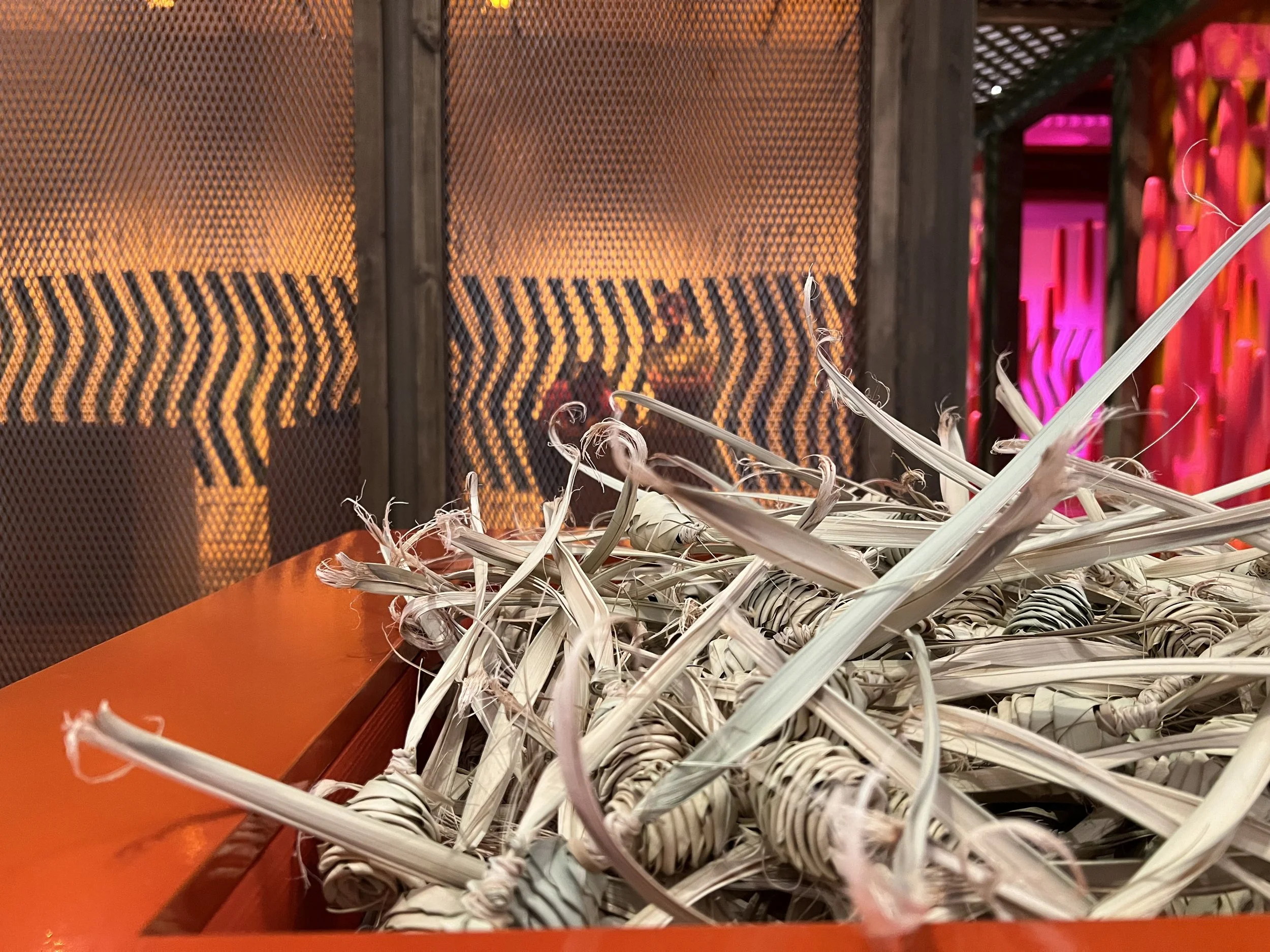 IMG_9247 Jessica Pennell.jpeg