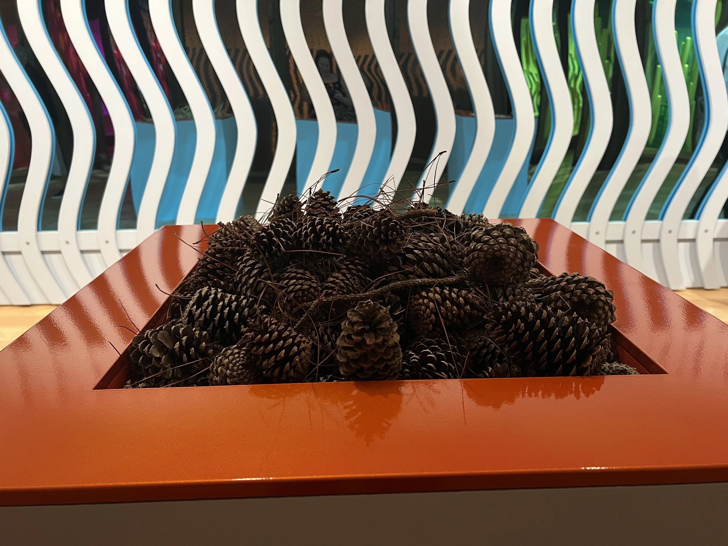 IMG_9376 Jessica Pennell.jpeg