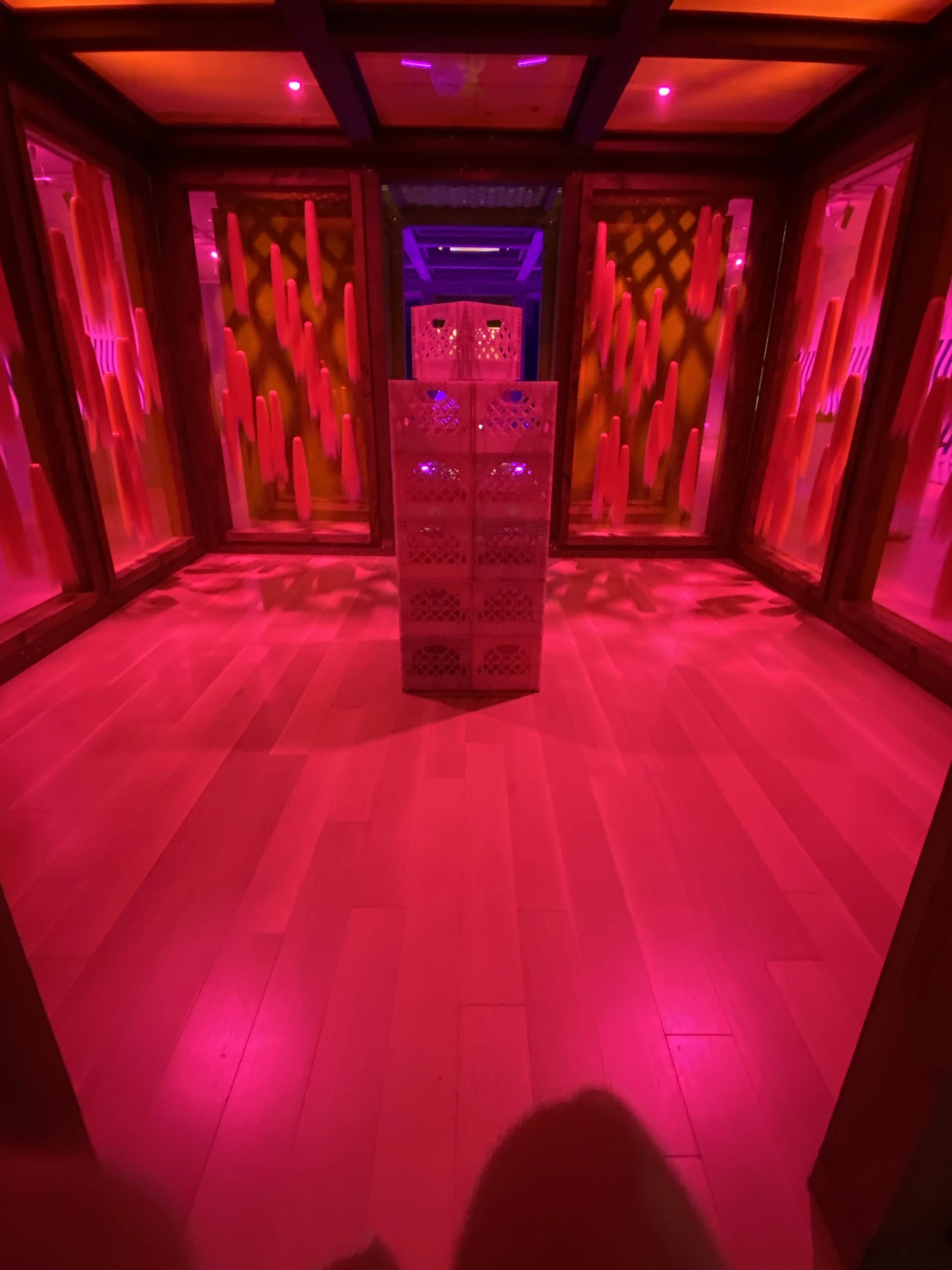 IMG_9414 Jessica.jpeg