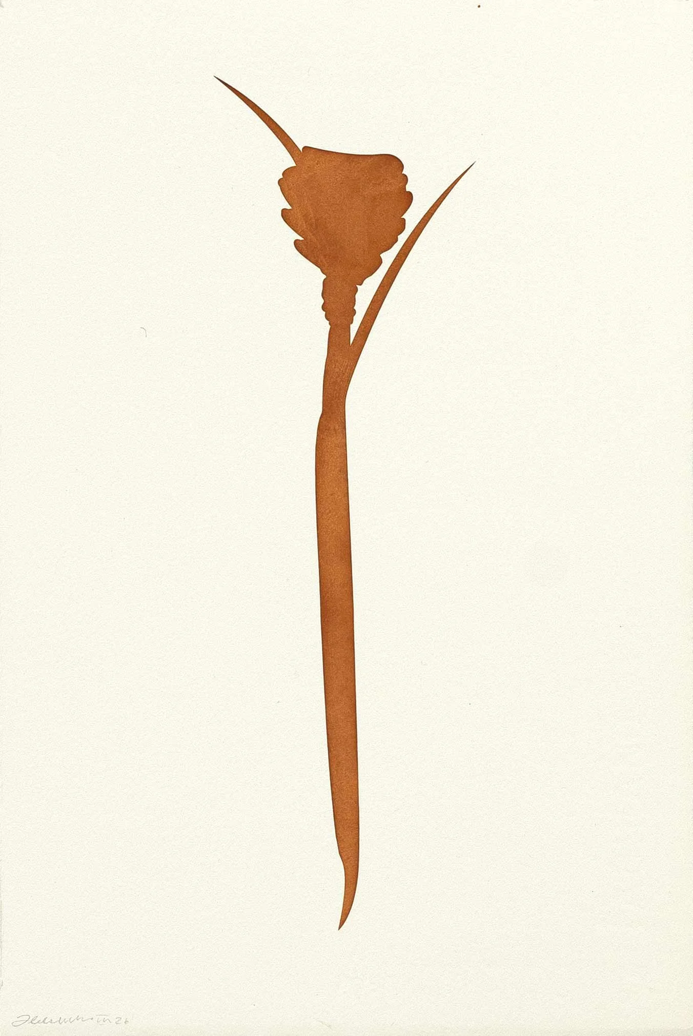    A Rose From Mr. Freedman's Garden (AP) , 2026  Rust on Paper,  15 x 11 in | 38.1 x 27.9 cm 