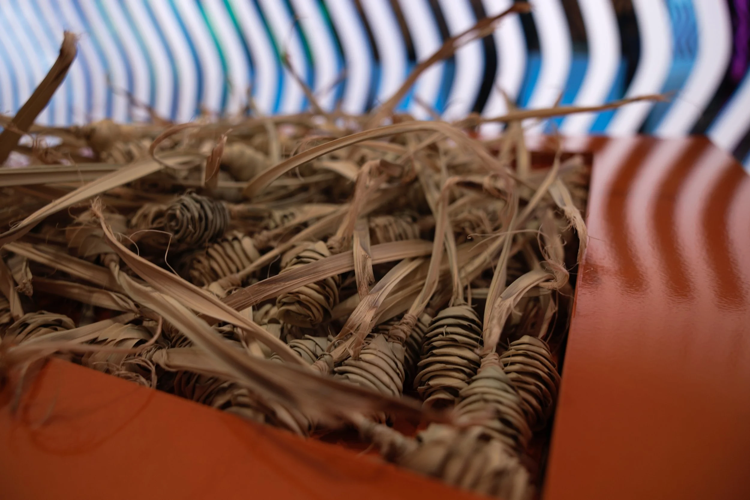 FX5A7544_web copy.jpg