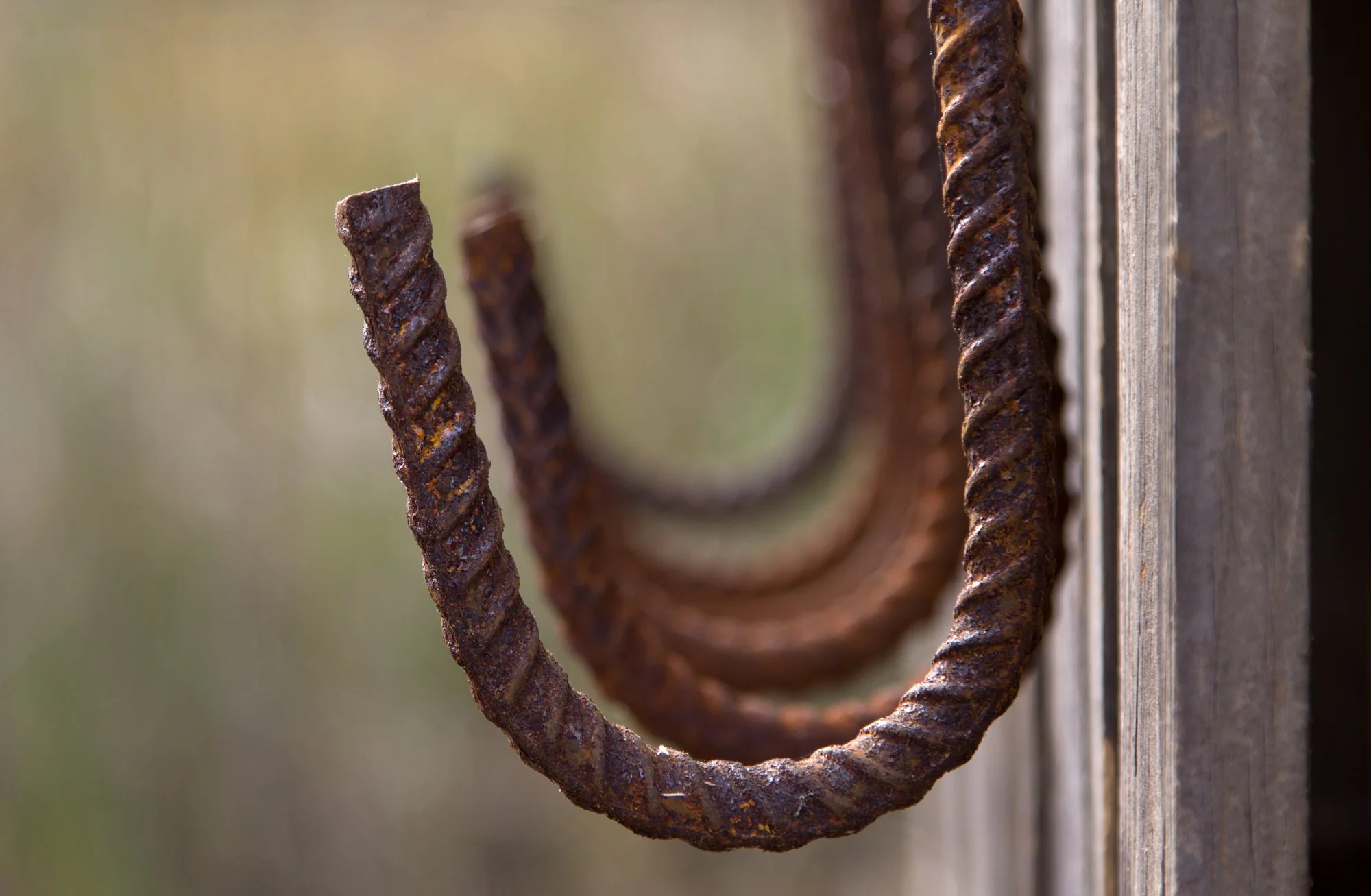 Homestead_Hook_1_IMG_4521_web.jpg