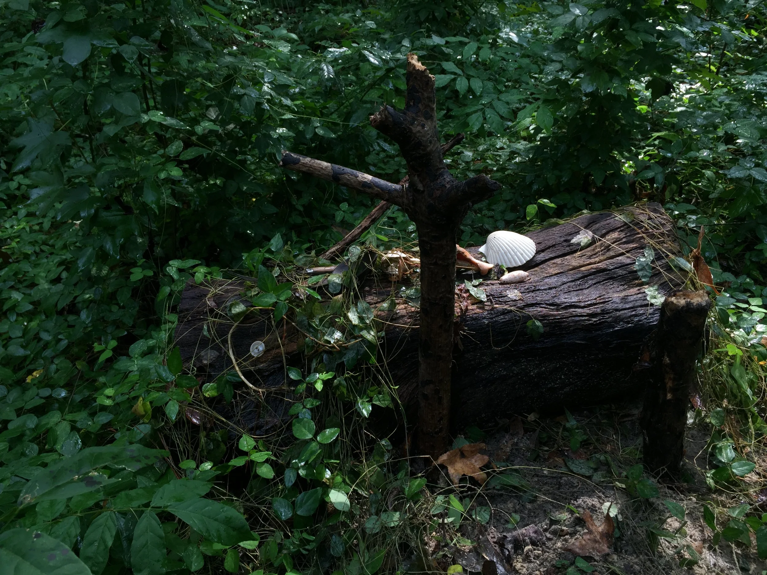 Multi-Site Set Decoration