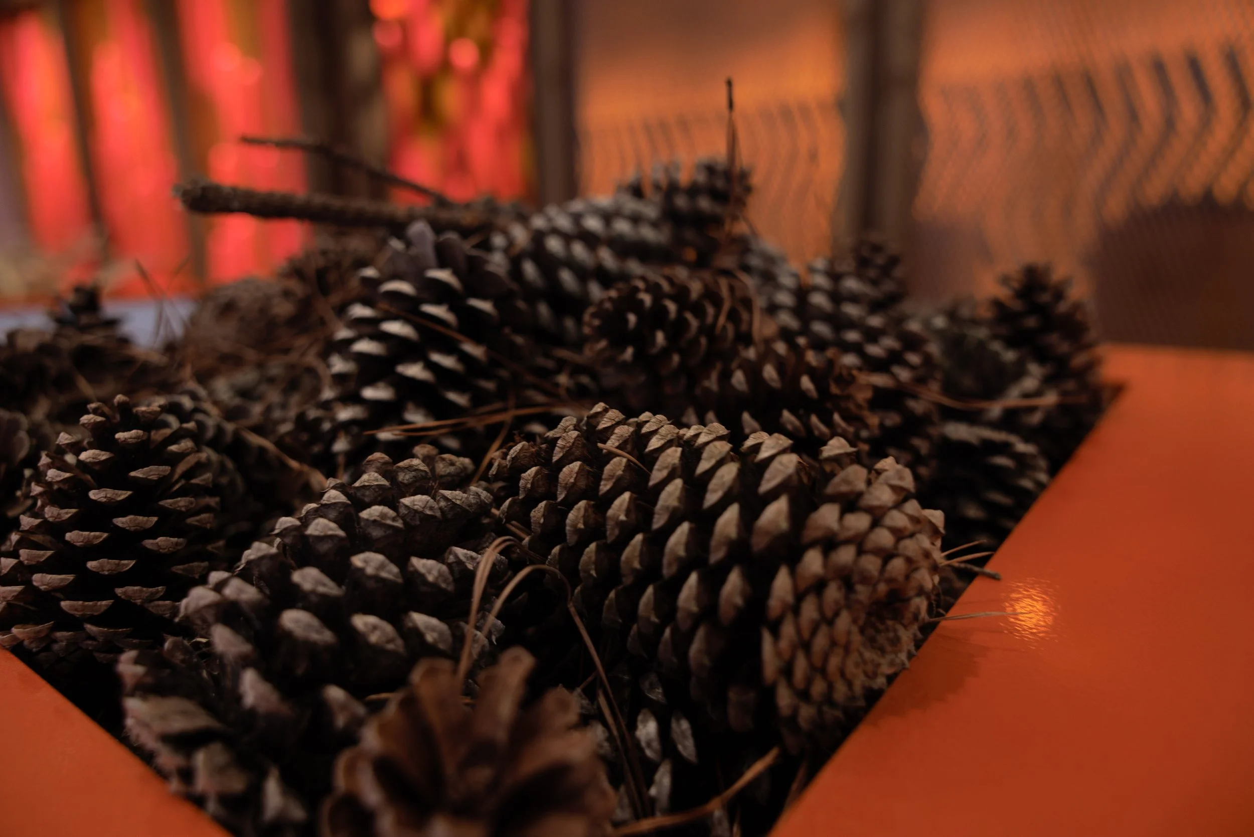 FX5A7579_web copy.jpg