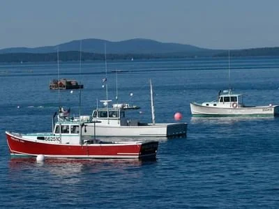 Deep Sea Fishing