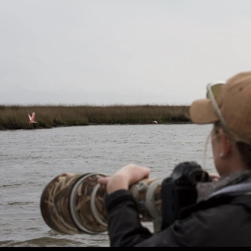 Private Bird Photography Expedition