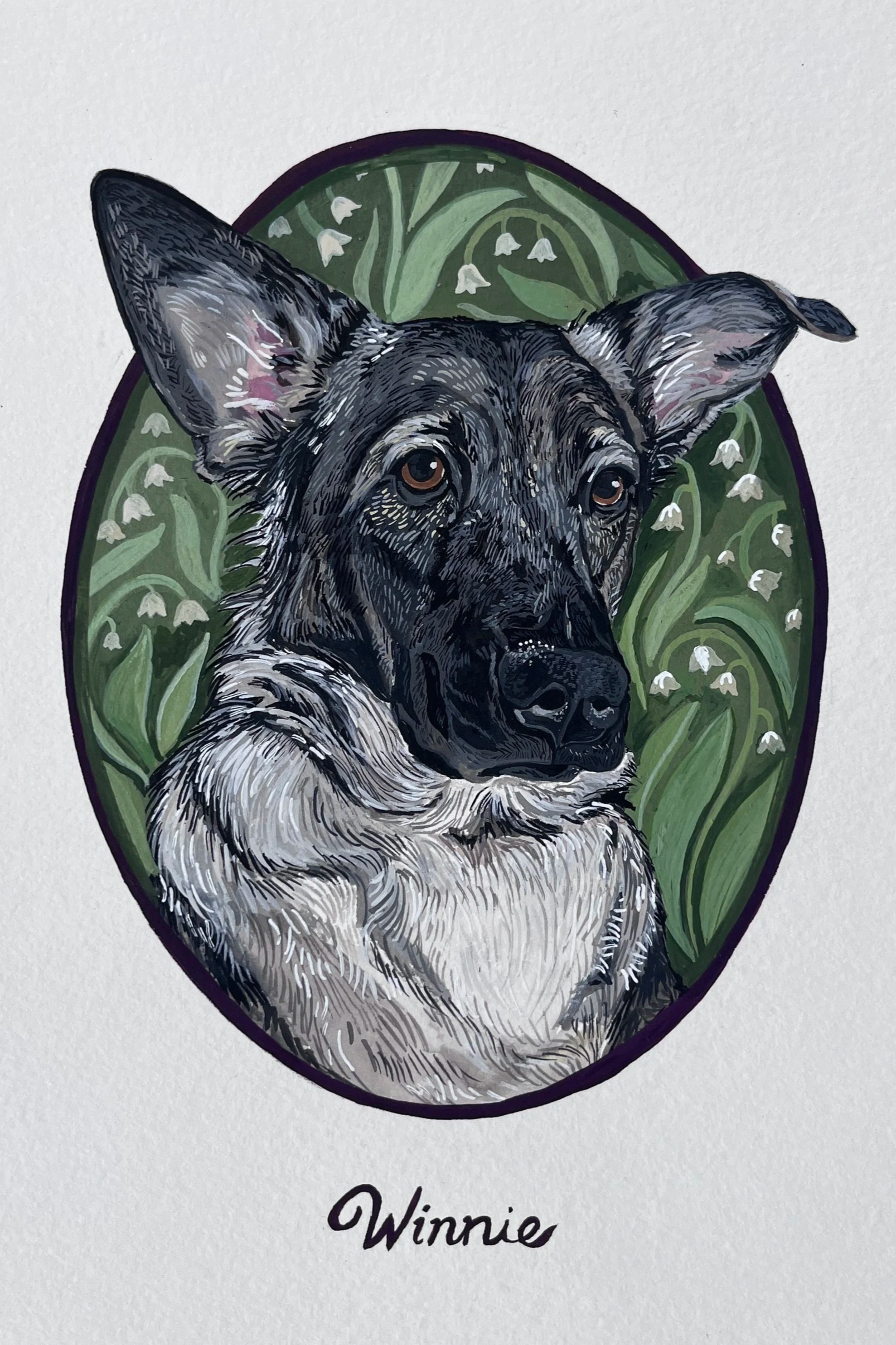 Pet Portrait