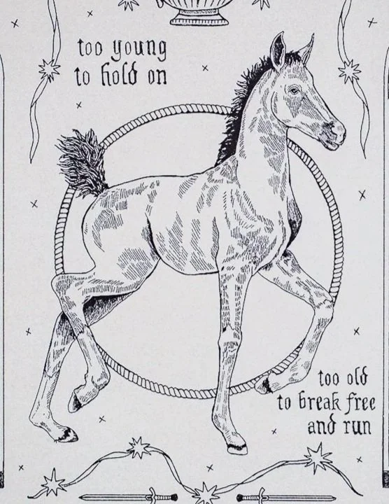 Pony print reads "Too young to hang on too old to break free and run"