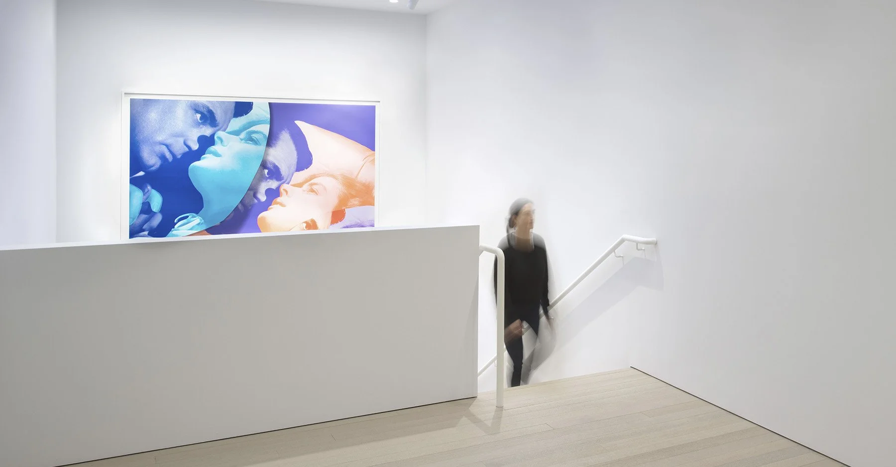 photo: maris hutchinson | courtesy gagosian, caplan colaku architecture