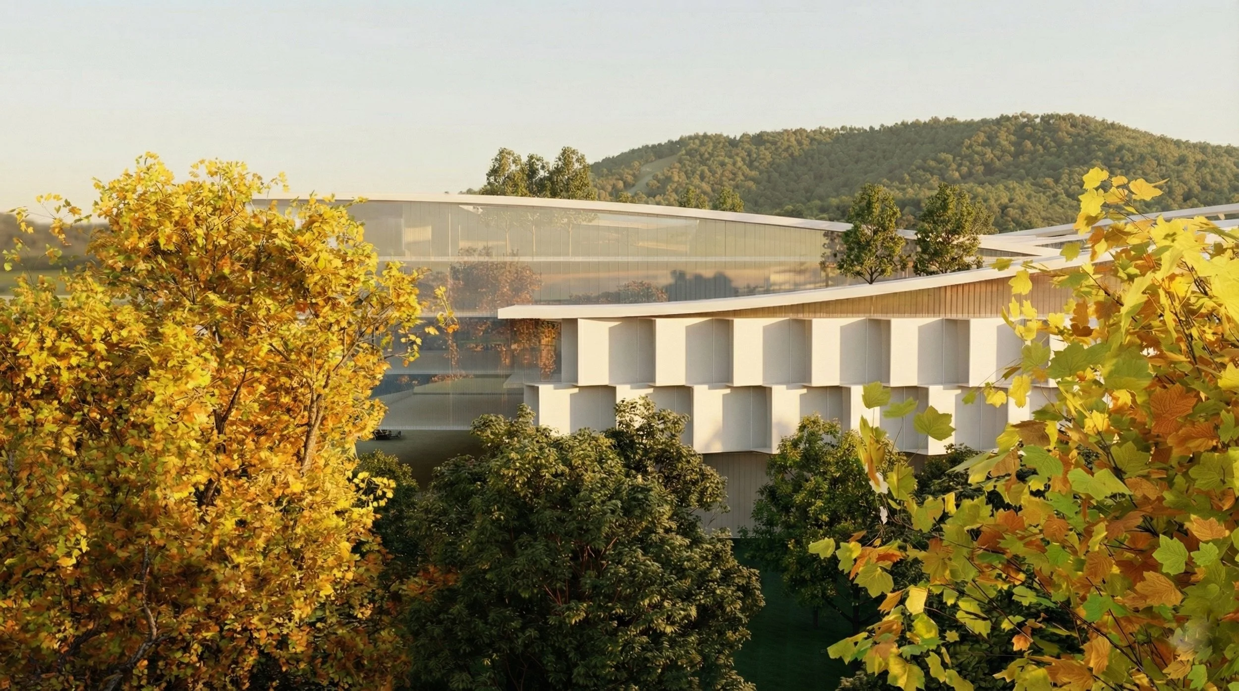 copyright: mani colaku architects
