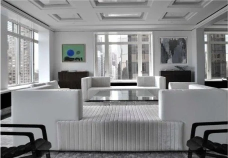 copyright: mani colaku architects