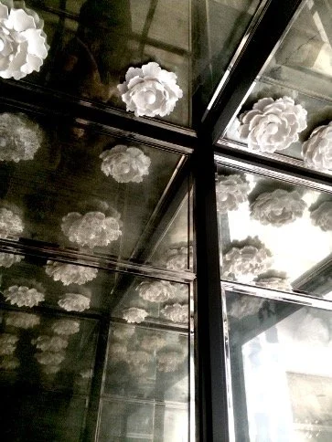 copyright: mani colaku architects
