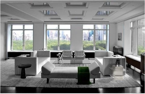 copyright: mani colaku architects