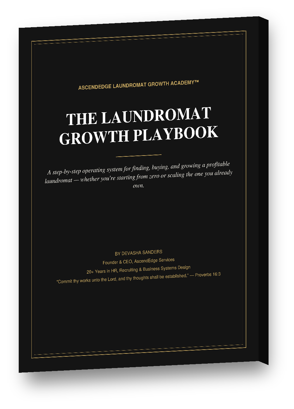 The Laundromat Growth Playbook + Workbook