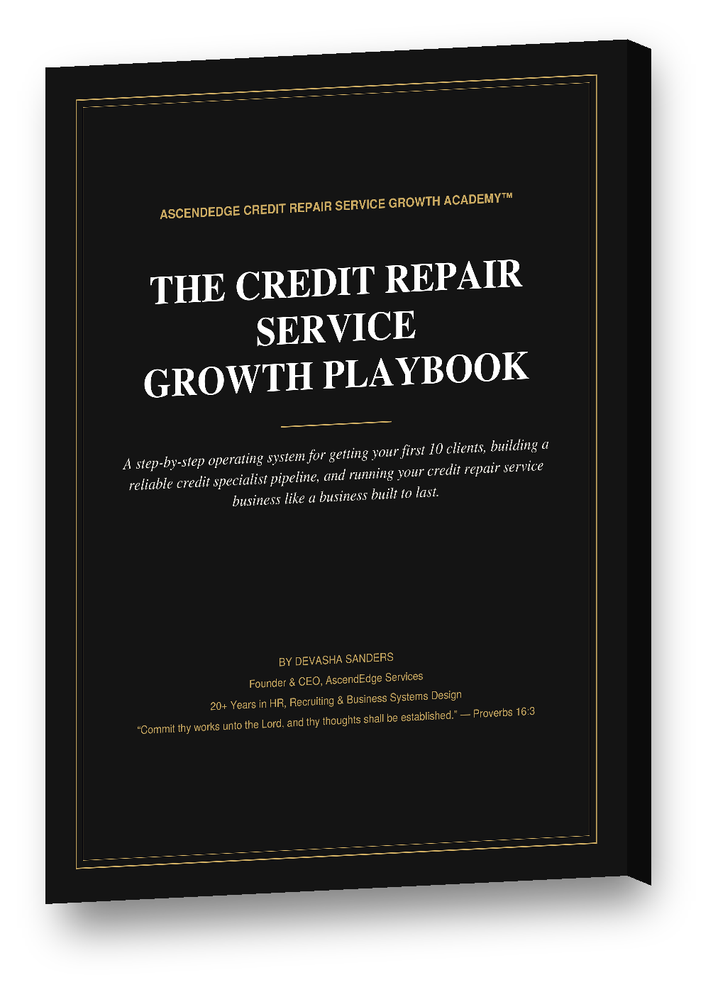 Credit_Repair_Growth_Playbook_mockup.png