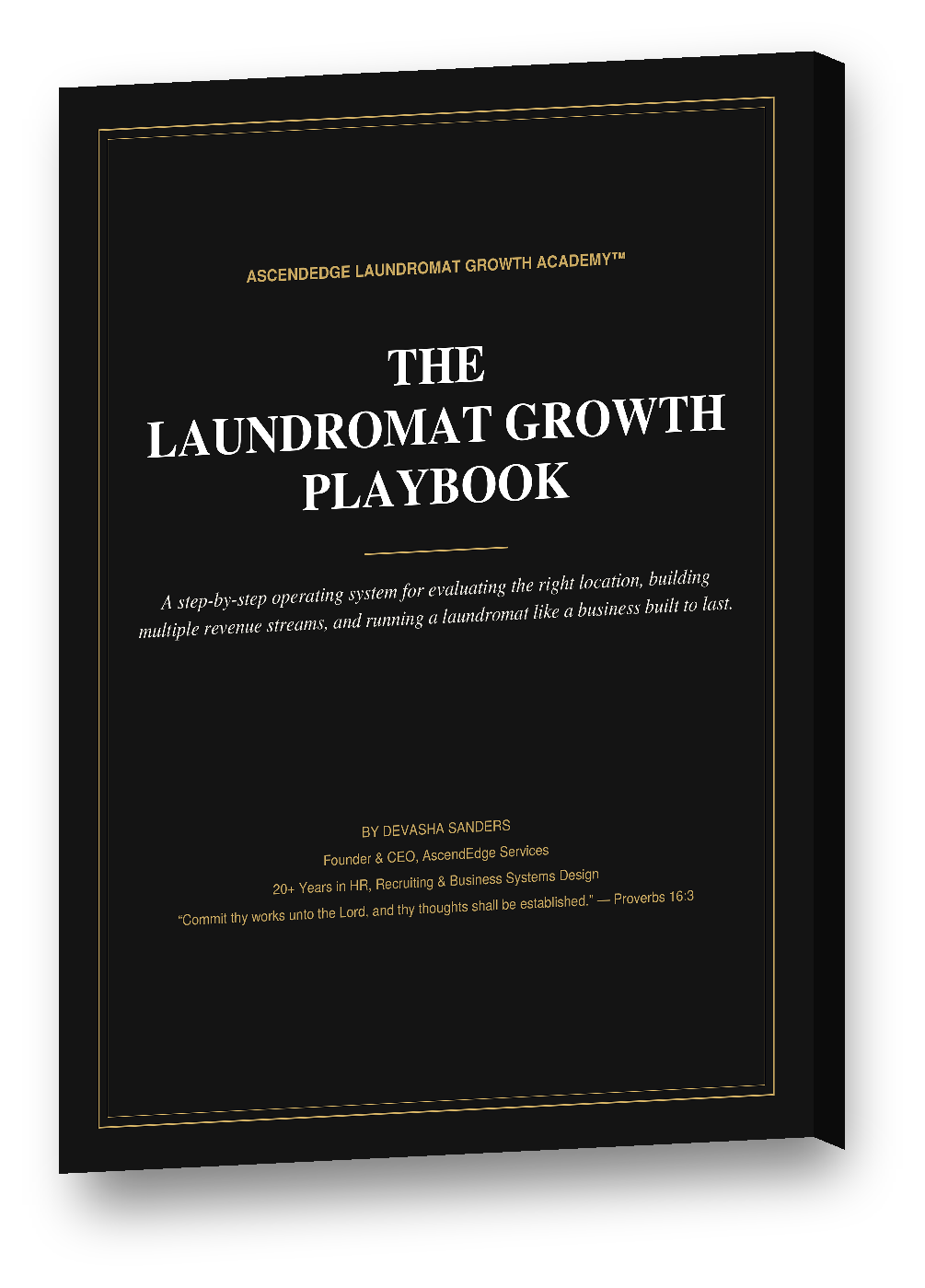 Laundromat_Growth_Playbook_mockup.png