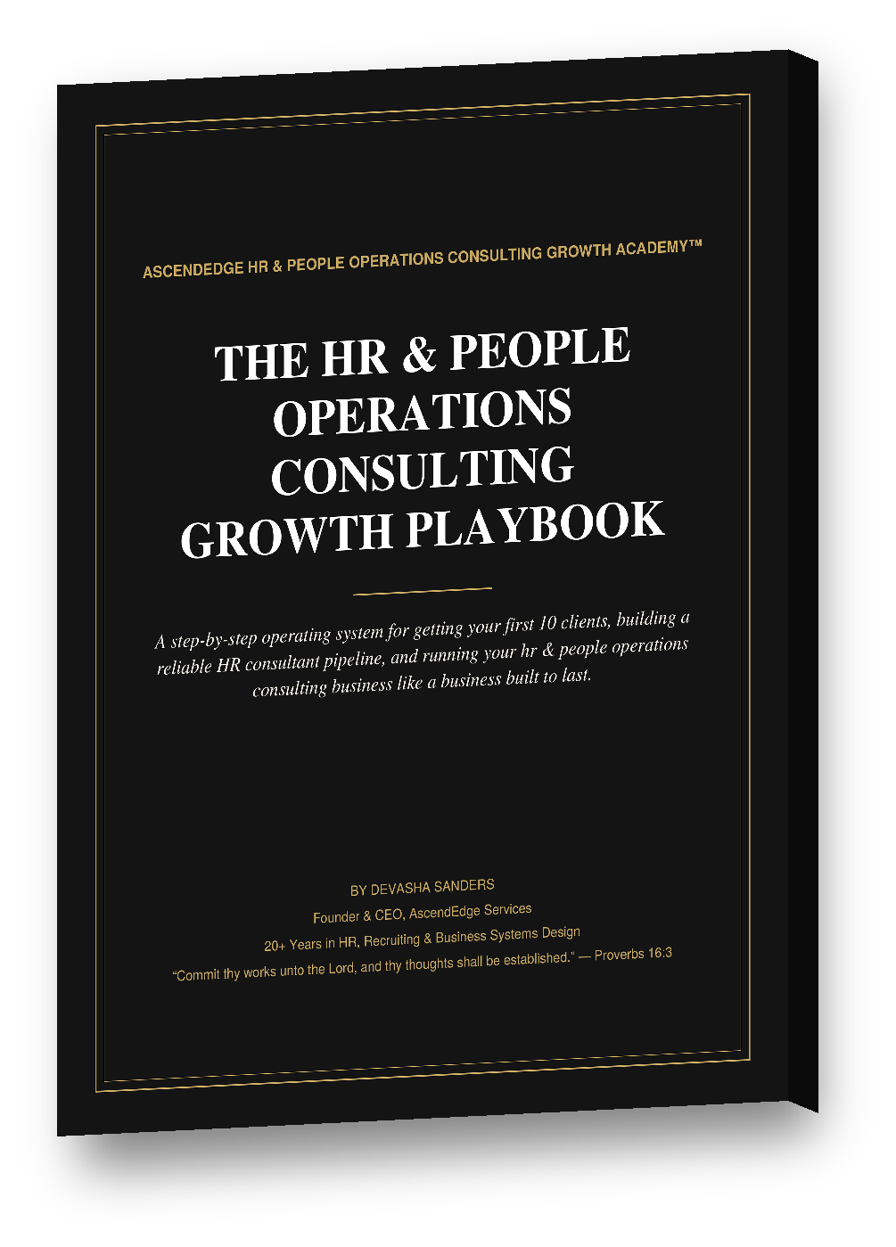 HR_Consulting_Growth_Playbook_mockup.png