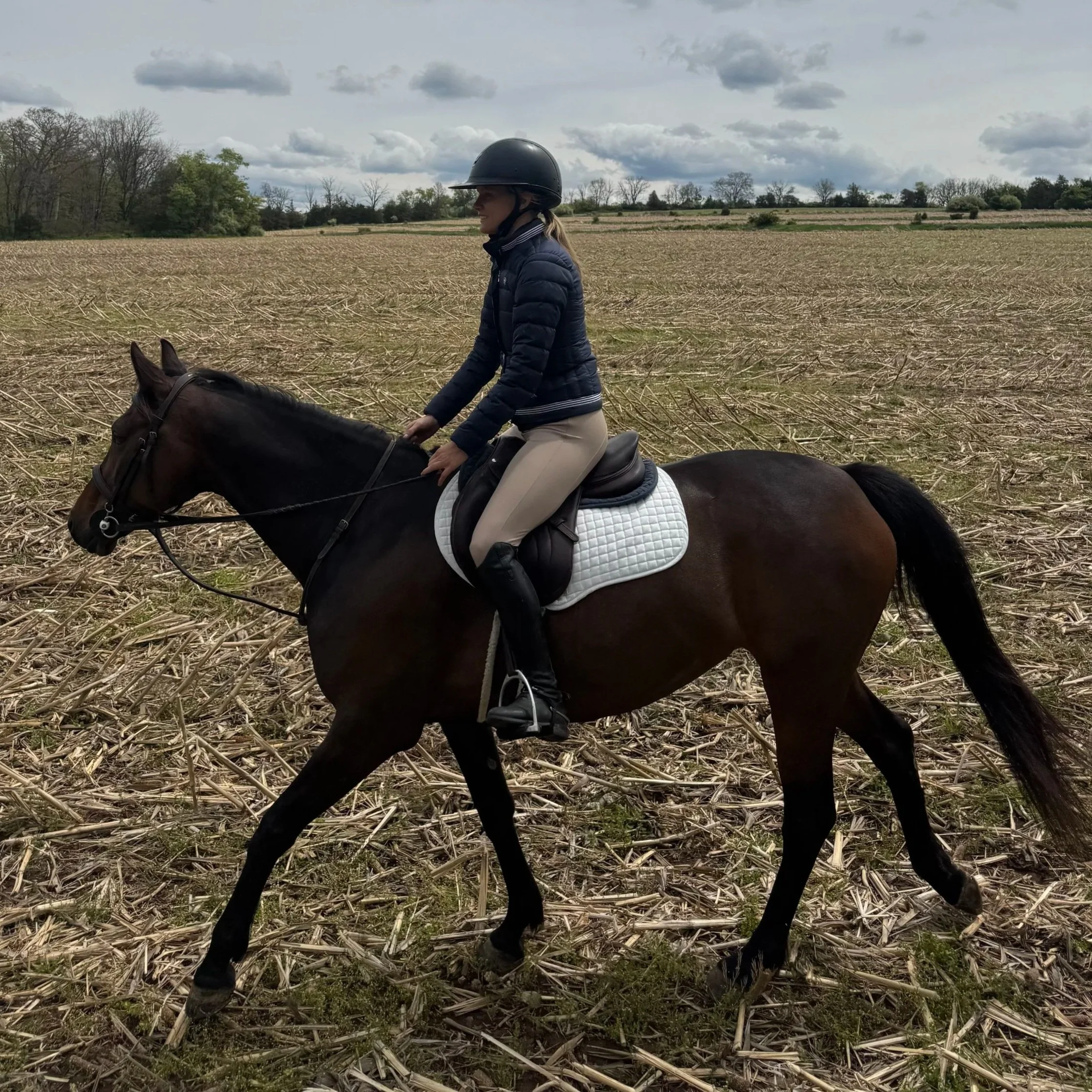 A person riding a horse through a harvested field, wearing a riding helmet and a navy jacket, with a backdrop of cloudy sky and sparse trees.