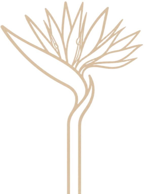 Line drawing of a hand holding a fan-shaped object, possibly a stylized flower or plant, in beige on a black background.