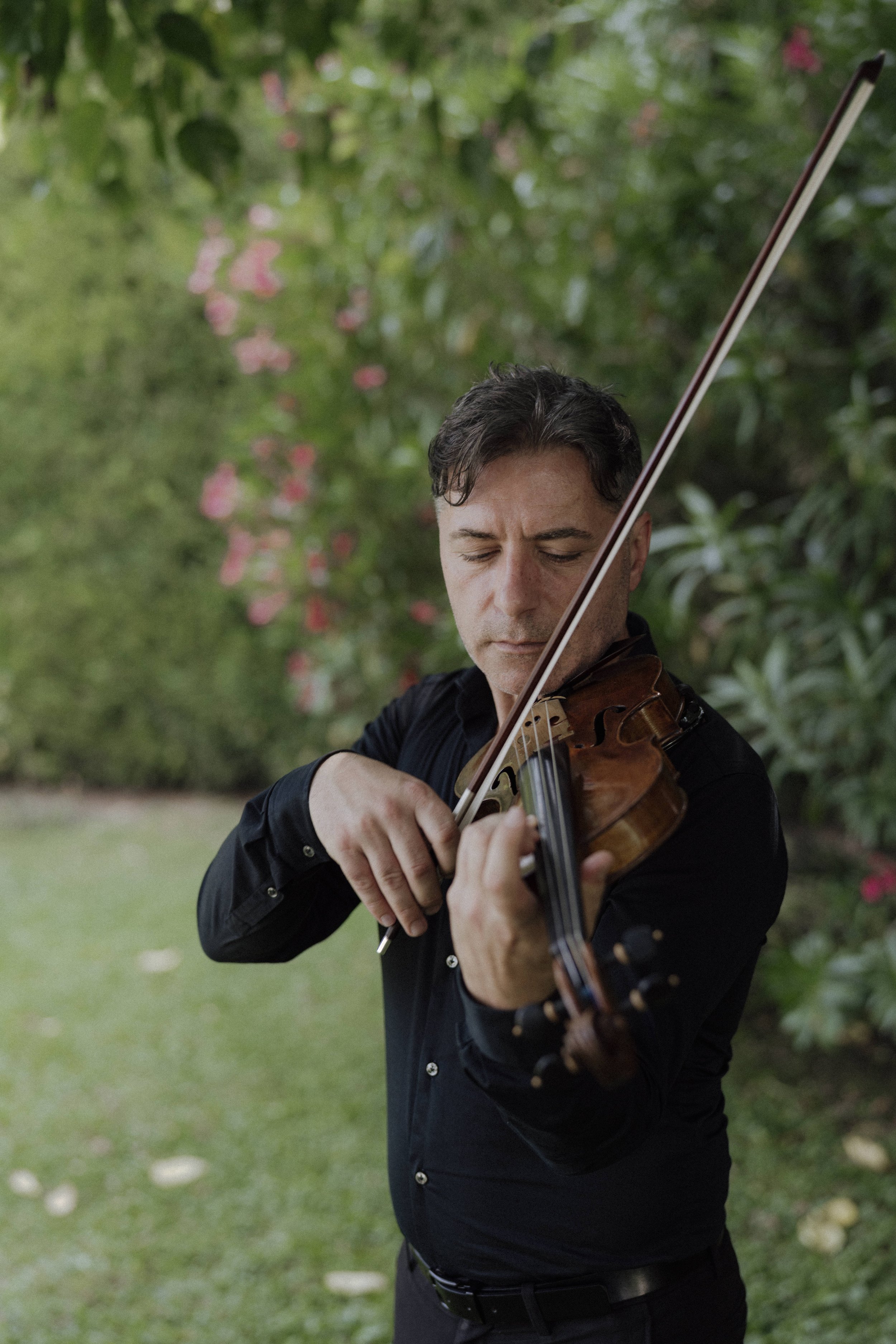 Wedding music in Verona