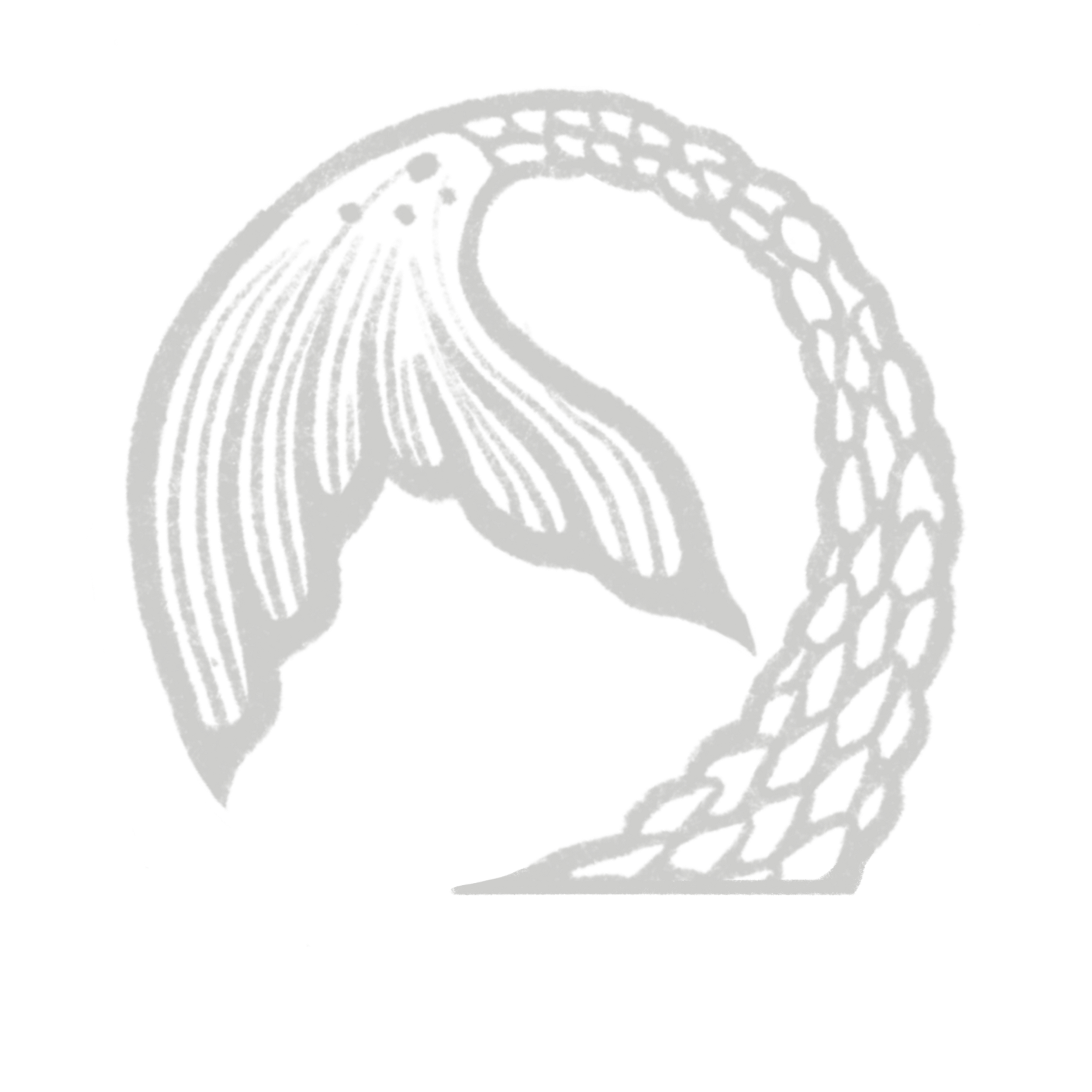 Dessin en noir et blanc d'une queue de sirène
