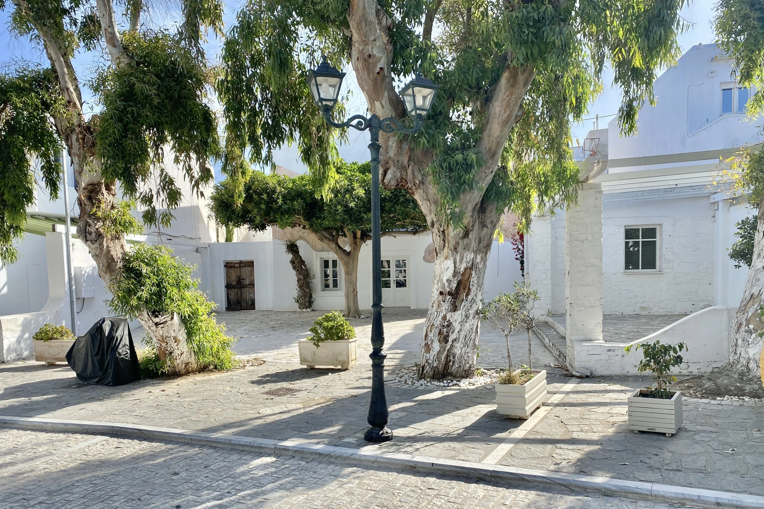 N001.jpg